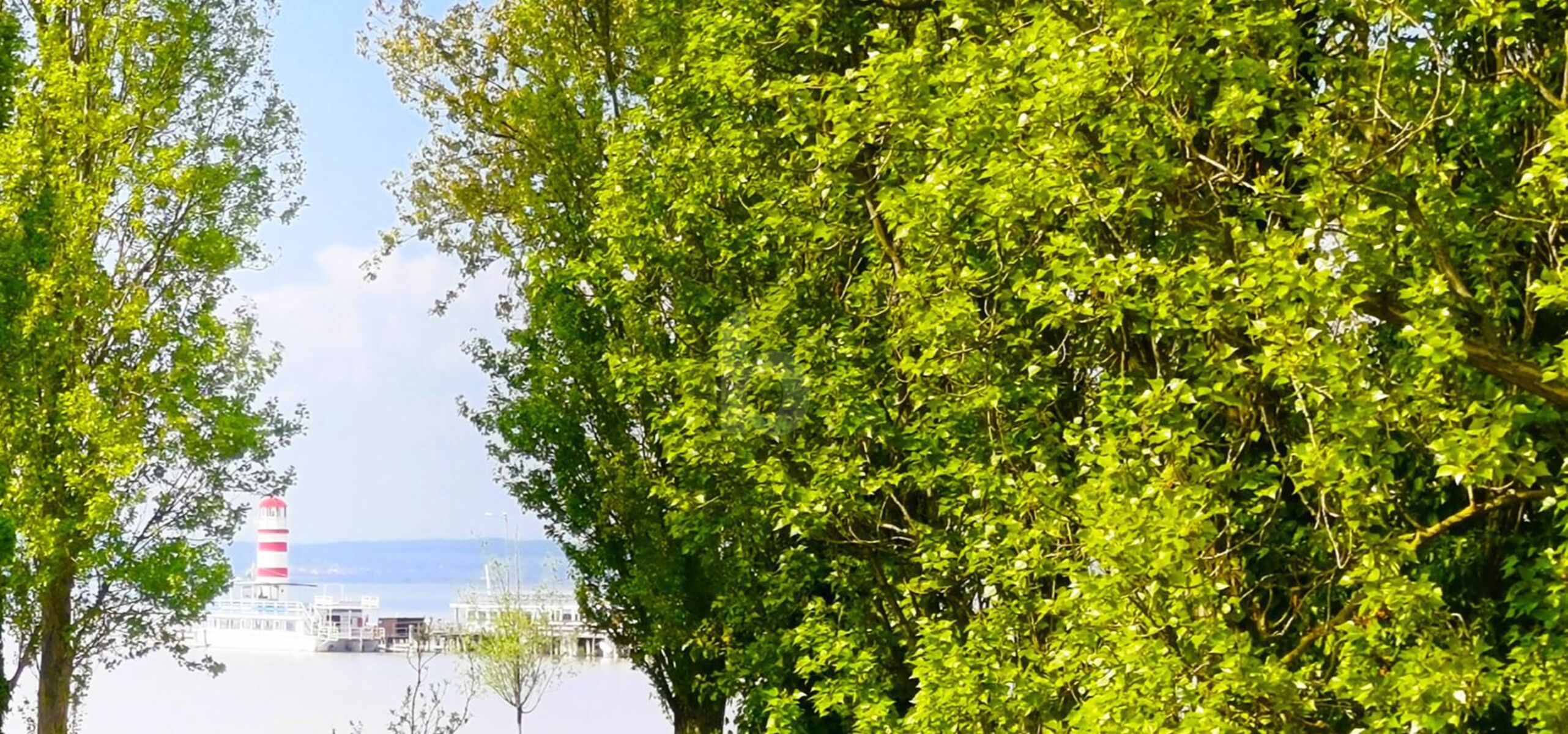 EINMALIGE LAGE AM NEUSIEDLERSEE MIT BESTEHENDEM HAUS