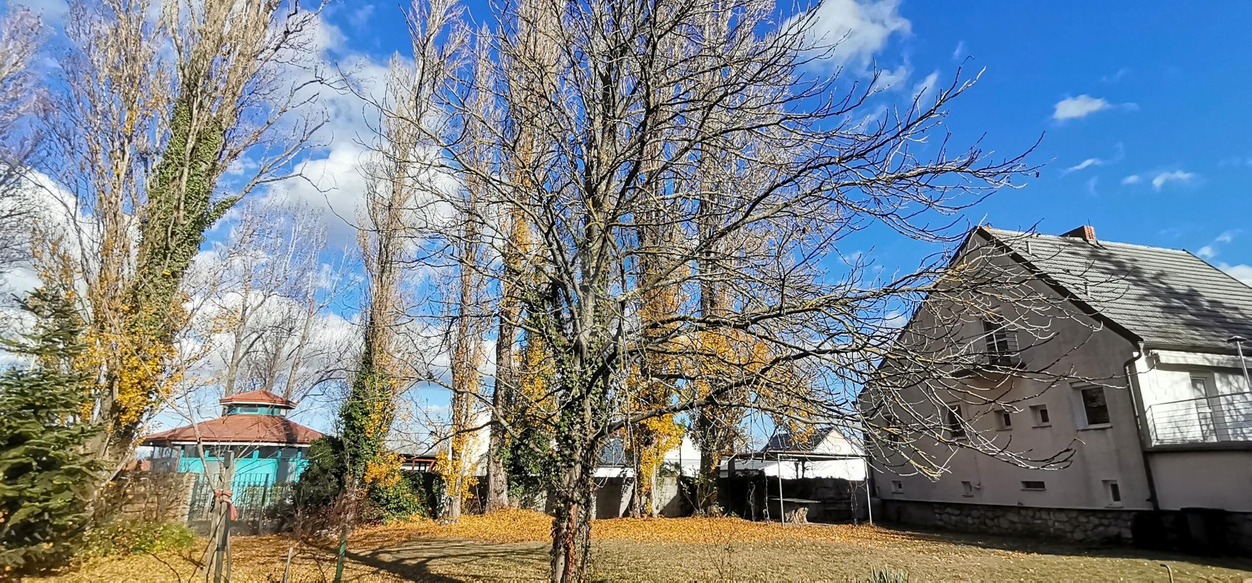 EINMALIGE LAGE AM NEUSIEDLERSEE MIT BESTEHENDEM HAUS / / 7141 Podersdorf am See / Bild 1