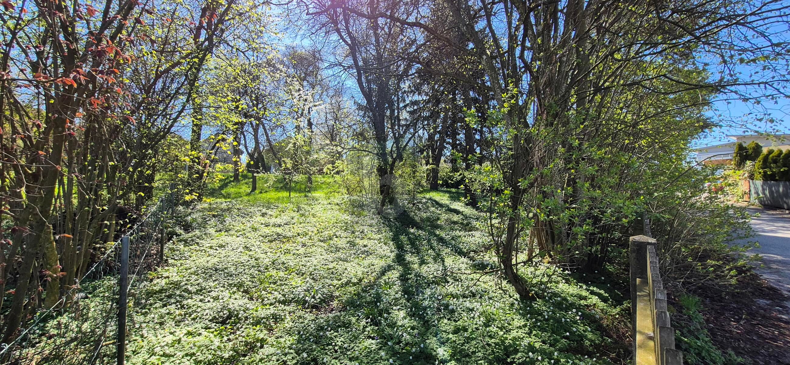 IHR BAUGRUND IM ZENTRUM VON ASCHBACH-MARKT ? SELTENE GELEGENHEIT MIT GESTALTUNGSSPIELRAUM / / 3361 Aschbach Markt / Bild 4