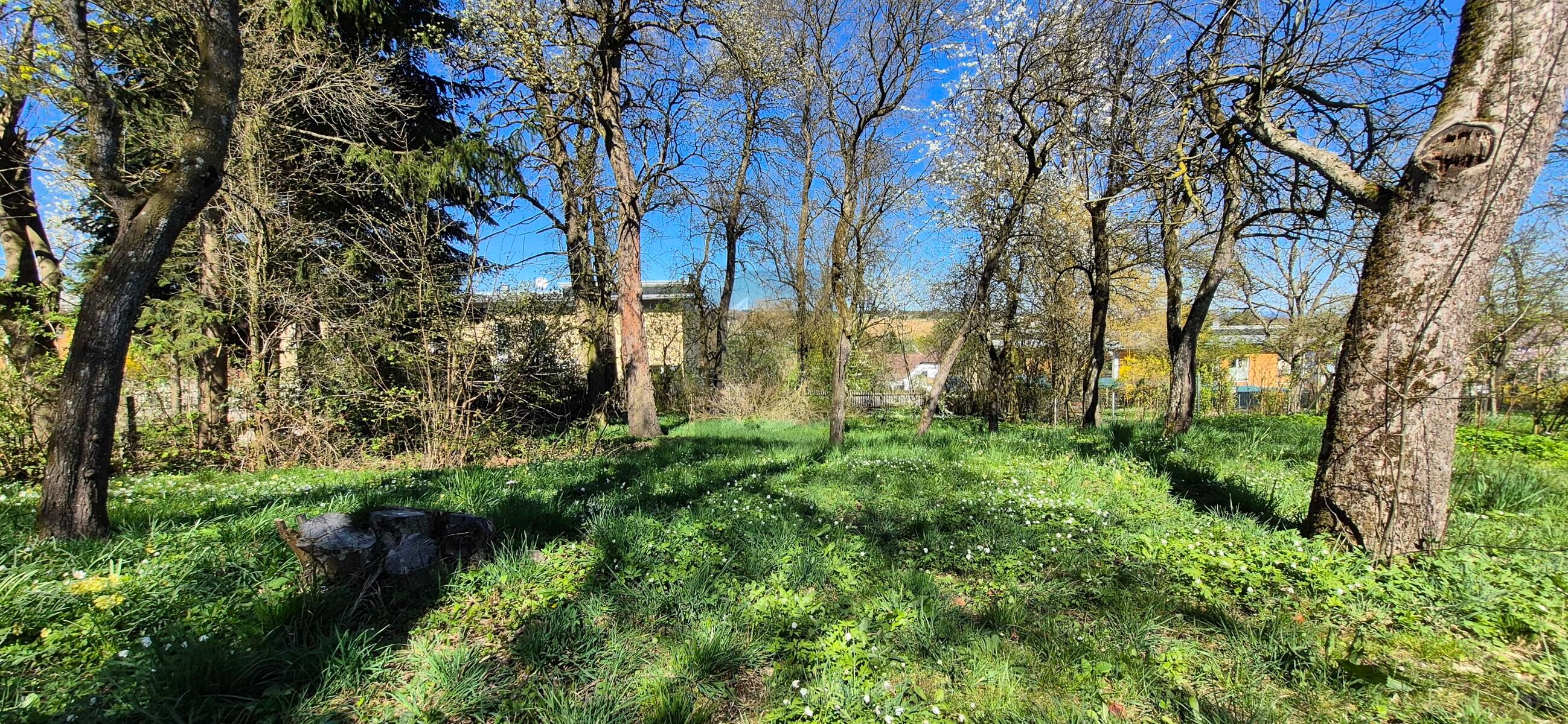 IHR BAUGRUND IM ZENTRUM VON ASCHBACH-MARKT ? SELTENE GELEGENHEIT MIT GESTALTUNGSSPIELRAUM / / 3361 Aschbach Markt / Bild 1