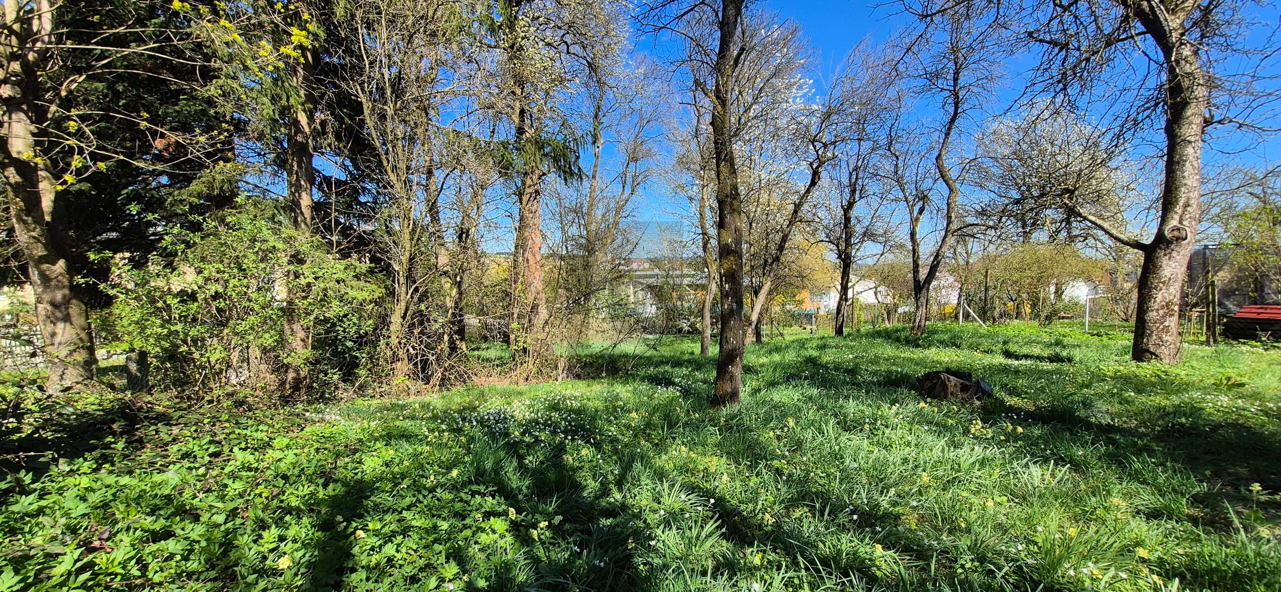 IHR BAUGRUND IM ZENTRUM VON ASCHBACH-MARKT ? SELTENE GELEGENHEIT MIT GESTALTUNGSSPIELRAUM / / 3361 Aschbach Markt / Bild 2