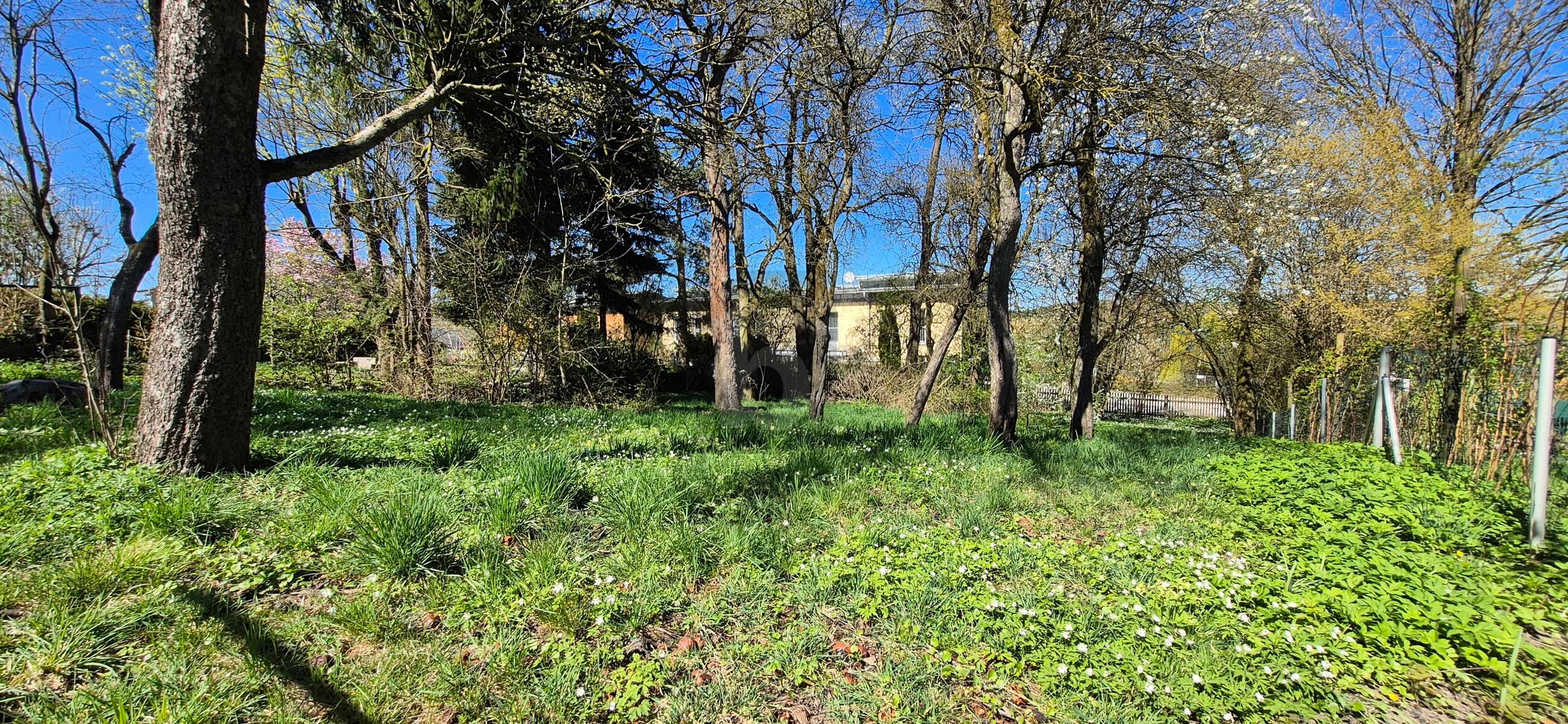 IHR BAUGRUND IM ZENTRUM VON ASCHBACH-MARKT ? SELTENE GELEGENHEIT MIT GESTALTUNGSSPIELRAUM / / 3361 Aschbach Markt / Bild 3