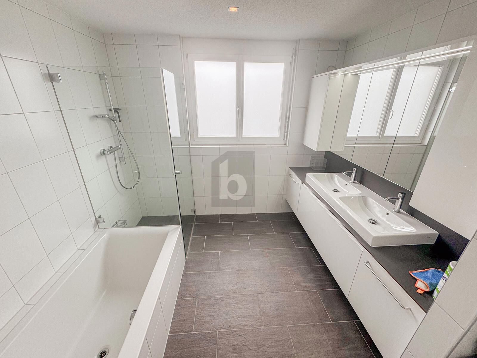 TRAUMHAFTES PENTHOUSE IN TOP LAGE / / 6858 Schwarzach / Bild 3