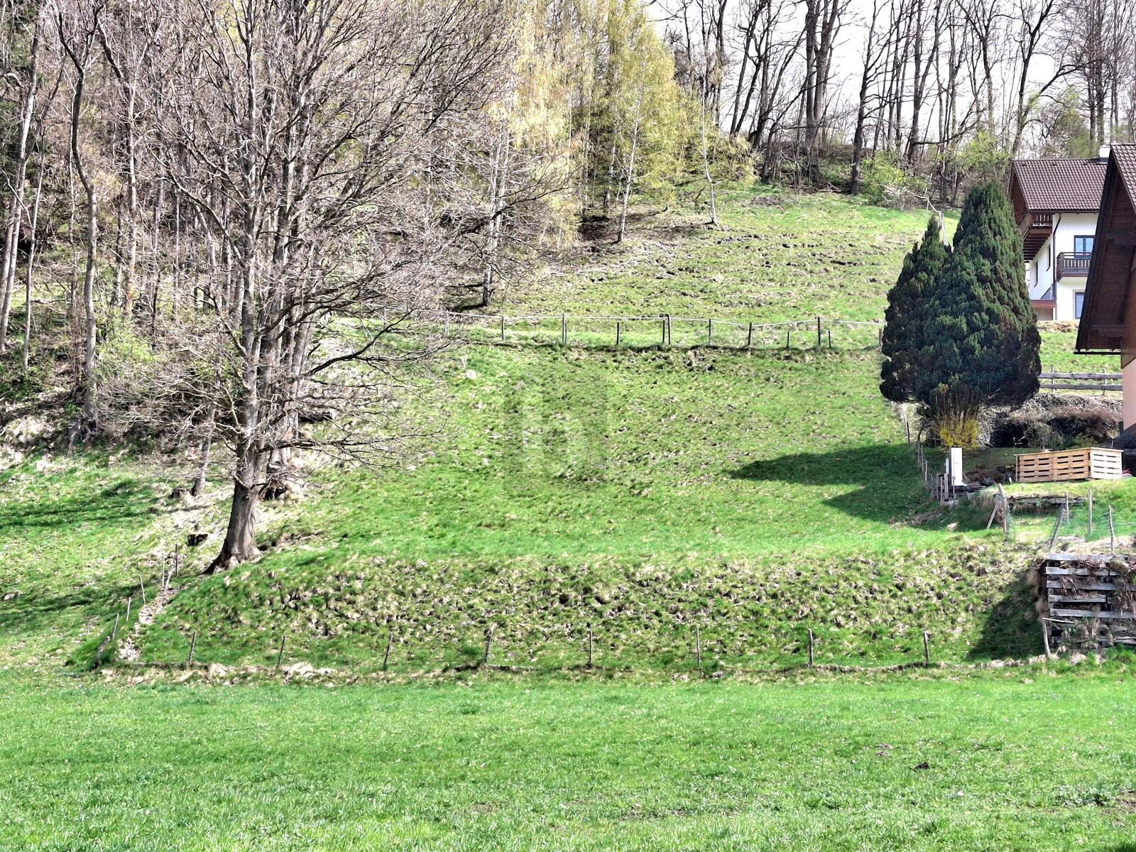 NATURNAHES GRUNDST�CK MIT PANORAMABLICK /  / 8960&nbsp;�blarn / Bild 0