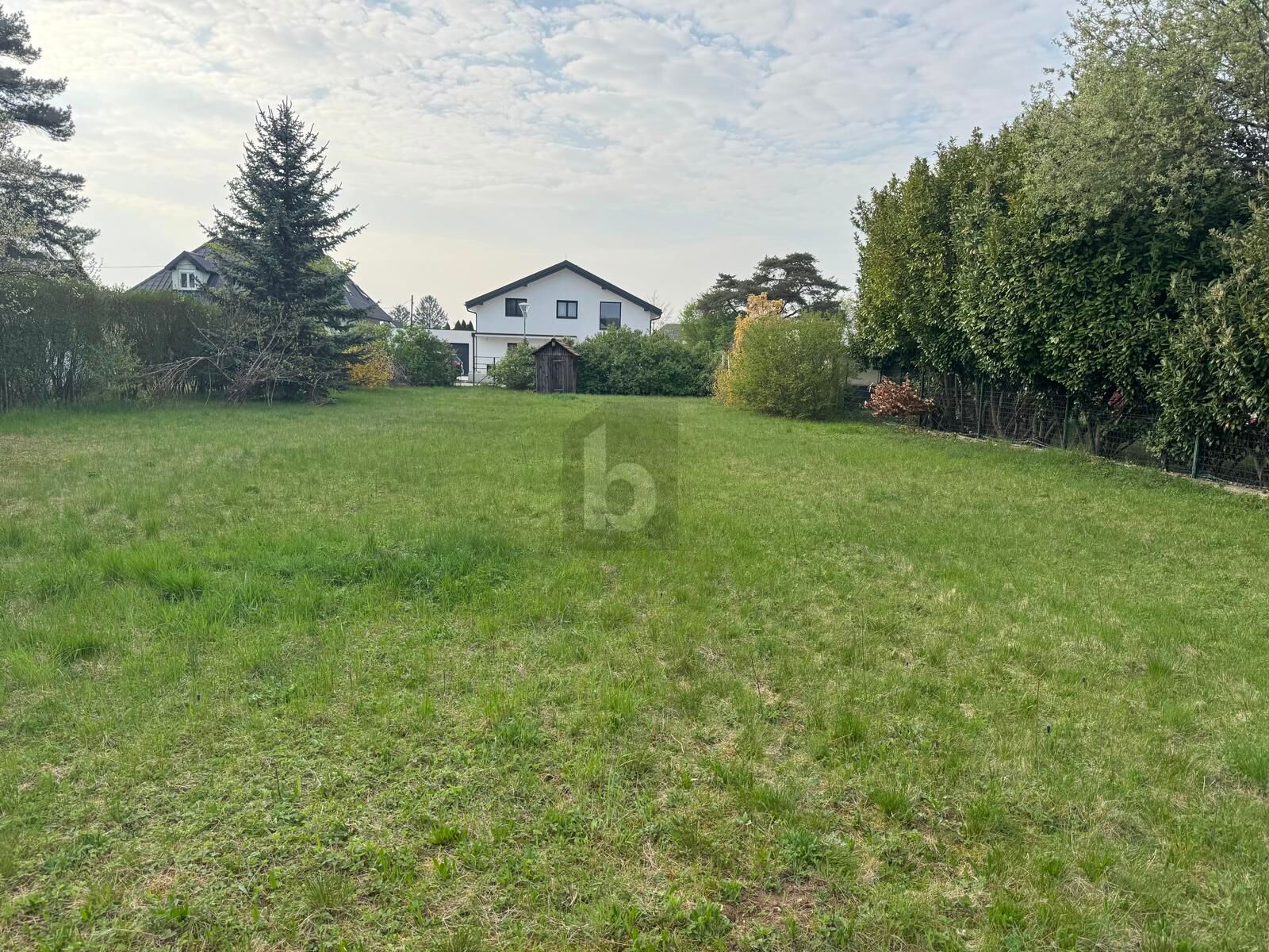 WUNDERSCH�NES GRO�ES GRUNDST�CK IN RUHIGER UND GR�NER LAGE  /  / 2230&nbsp;G�nserndorf / Bild 2