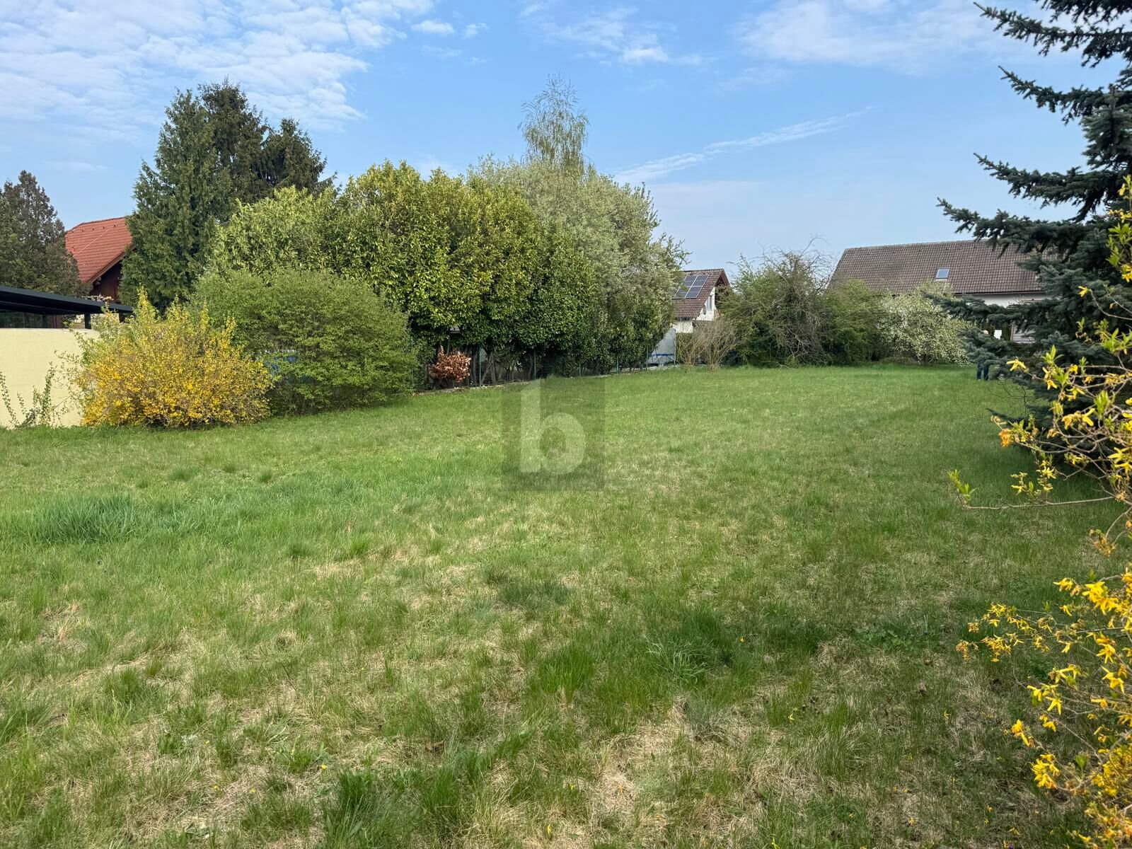 WUNDERSCH�NES GRO�ES GRUNDST�CK IN RUHIGER UND GR�NER LAGE  /  / 2230&nbsp;G�nserndorf / Bild 3