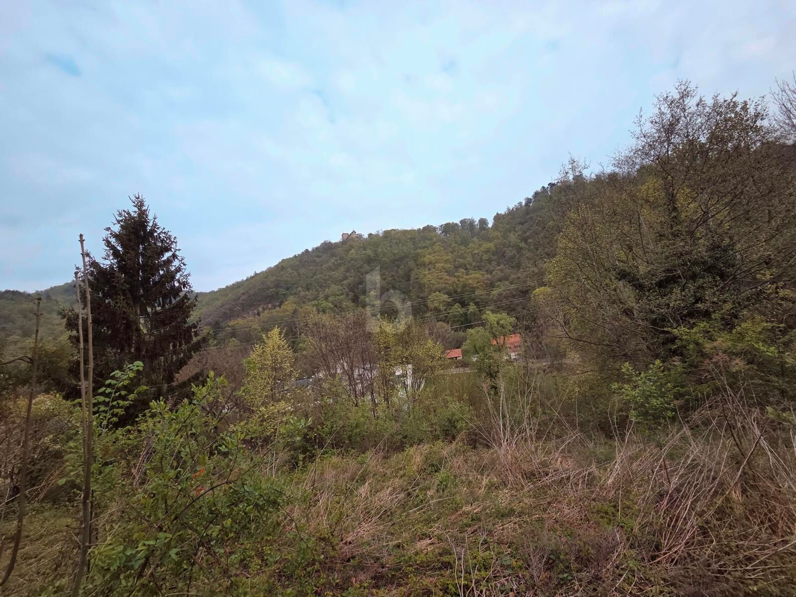 SONNIGES WOHNEN MIT LEBENSQUALIT�T /  / 8051&nbsp;Graz / Bild 2