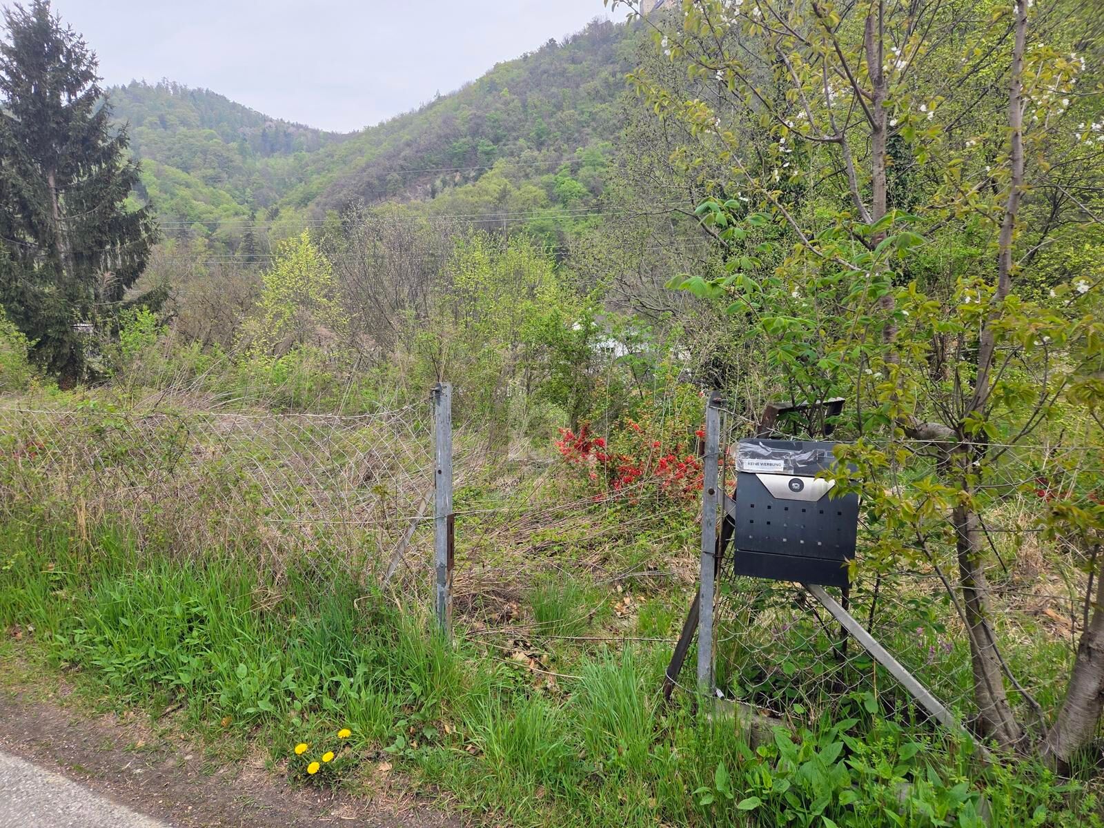 SONNIGES WOHNEN MIT LEBENSQUALIT�T /  / 8051&nbsp;Graz / Bild 3