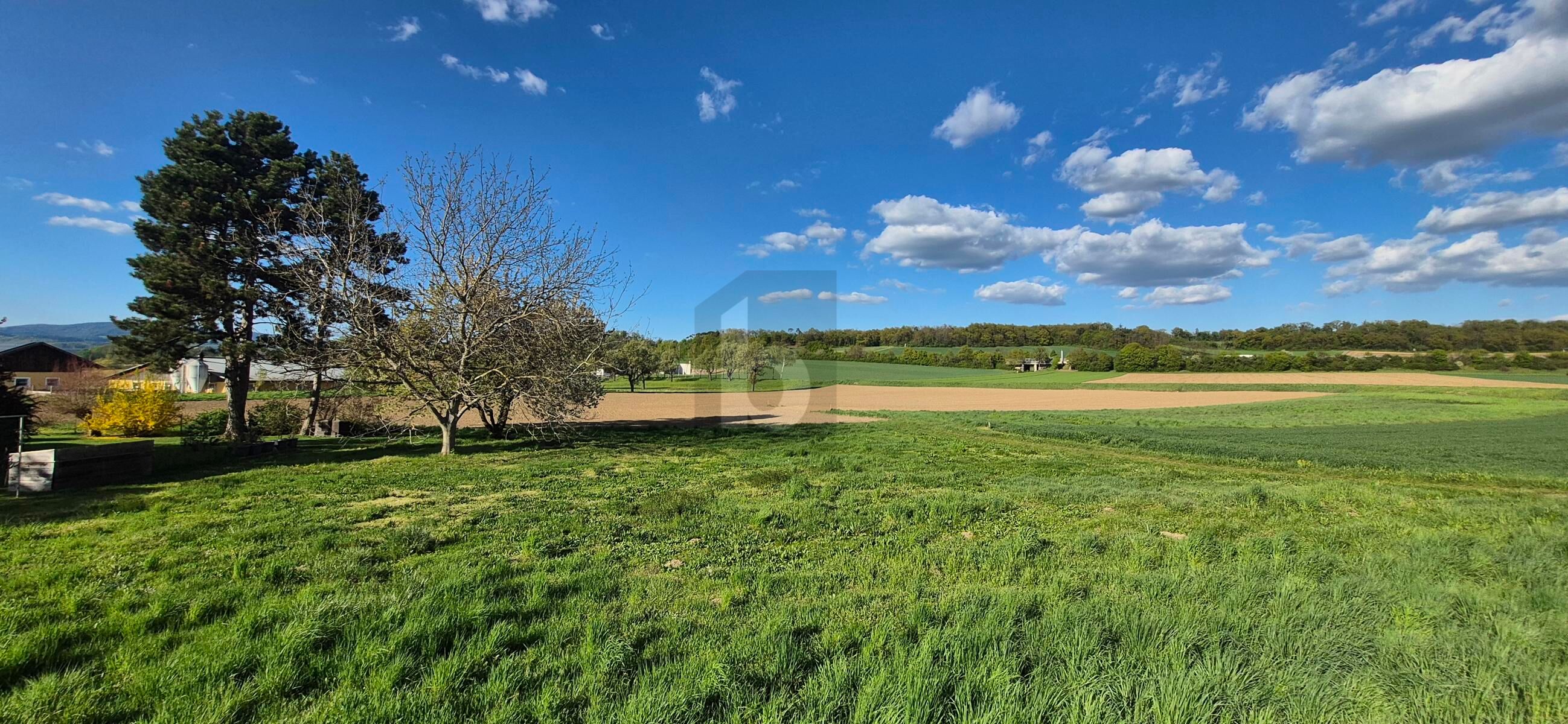 SELTENE CHANCE: 886 M� BAUGRUND MIT S�DAUSRICHTUNG ? AUFSCHLIE�UNG BEREITS BEZAHLT! /  / 3390&nbsp;Melk / Bild 4