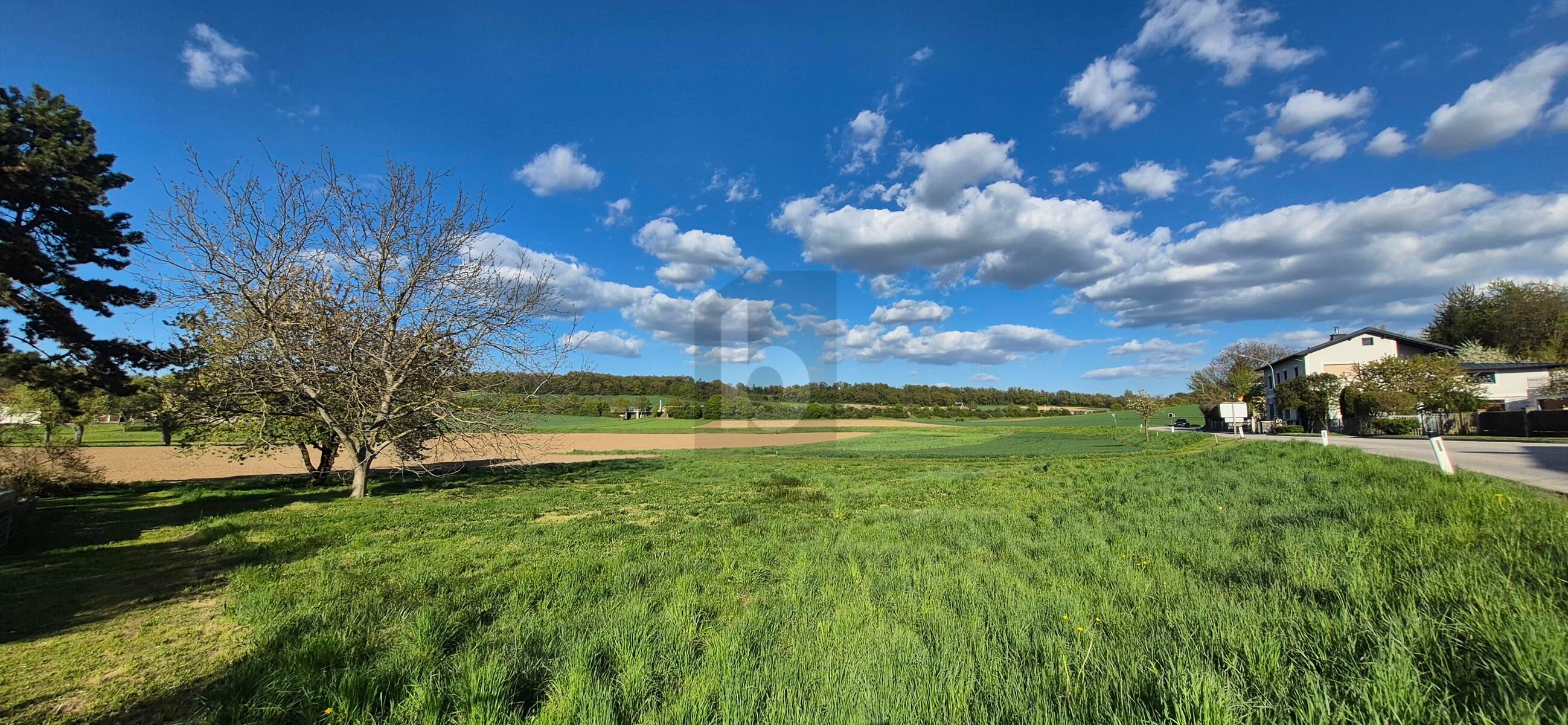 SELTENE CHANCE: 886 M� BAUGRUND MIT S�DAUSRICHTUNG ? AUFSCHLIE�UNG BEREITS BEZAHLT! /  / 3390&nbsp;Melk / Bild 3