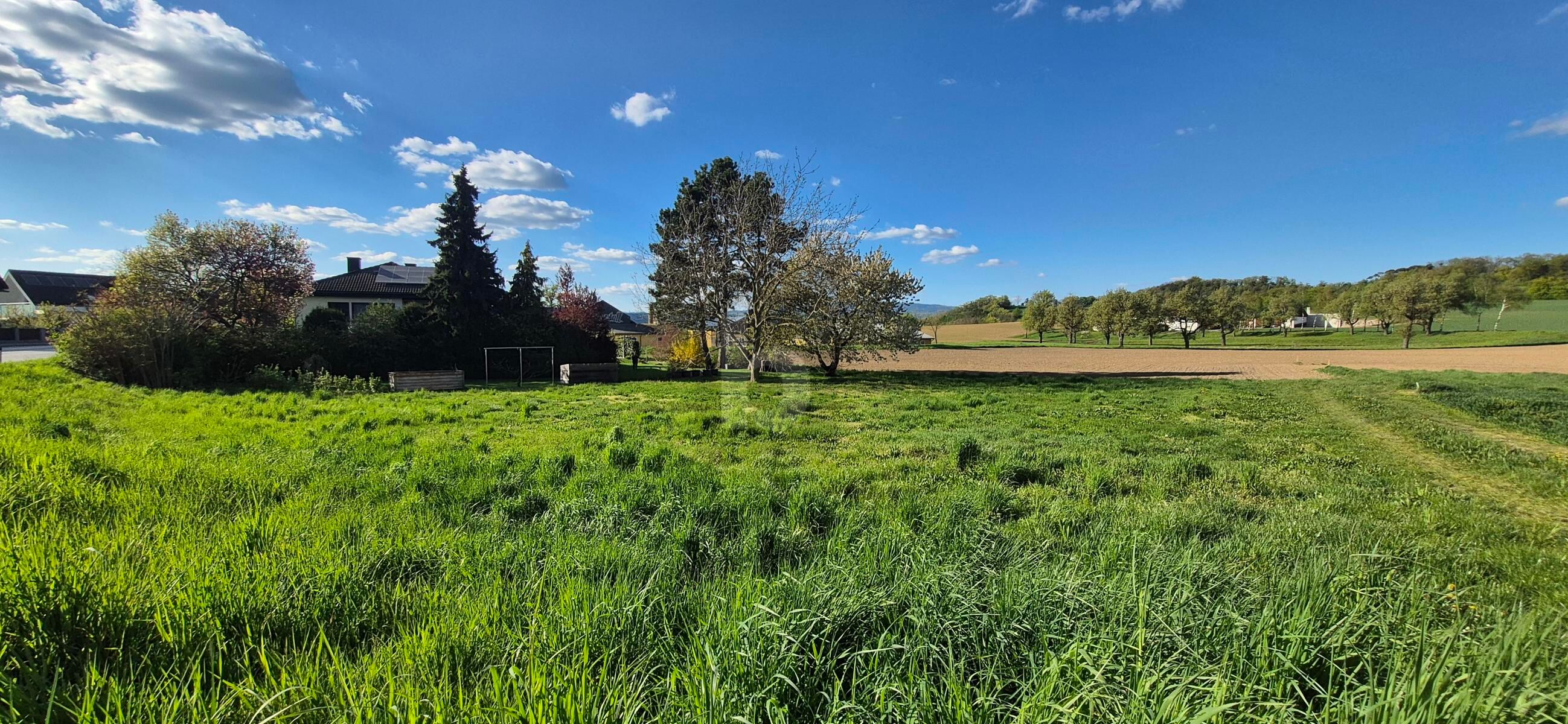 SELTENE CHANCE: 886 M� BAUGRUND MIT S�DAUSRICHTUNG ? AUFSCHLIE�UNG BEREITS BEZAHLT! /  / 3390&nbsp;Melk / Bild 2