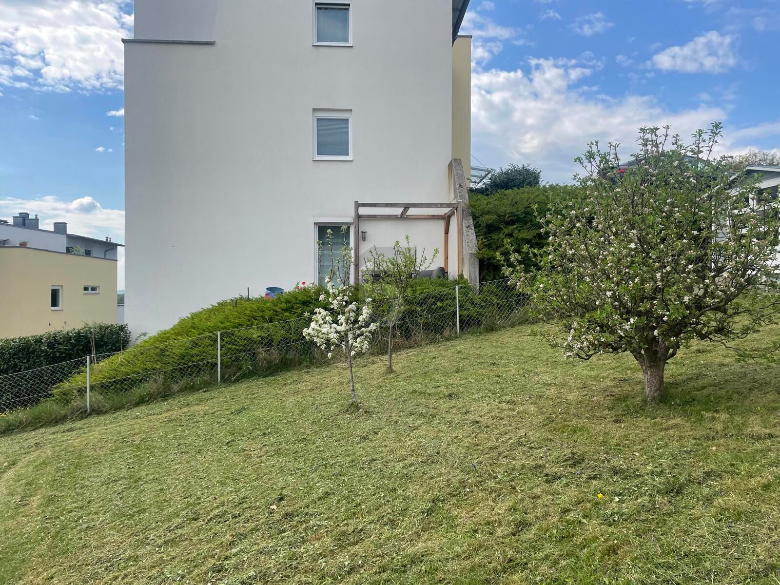 505 M� BAUGRUNDST�CK ? N�HE LINZ /  / 4209&nbsp;Engerwitzdorf / Bild 3