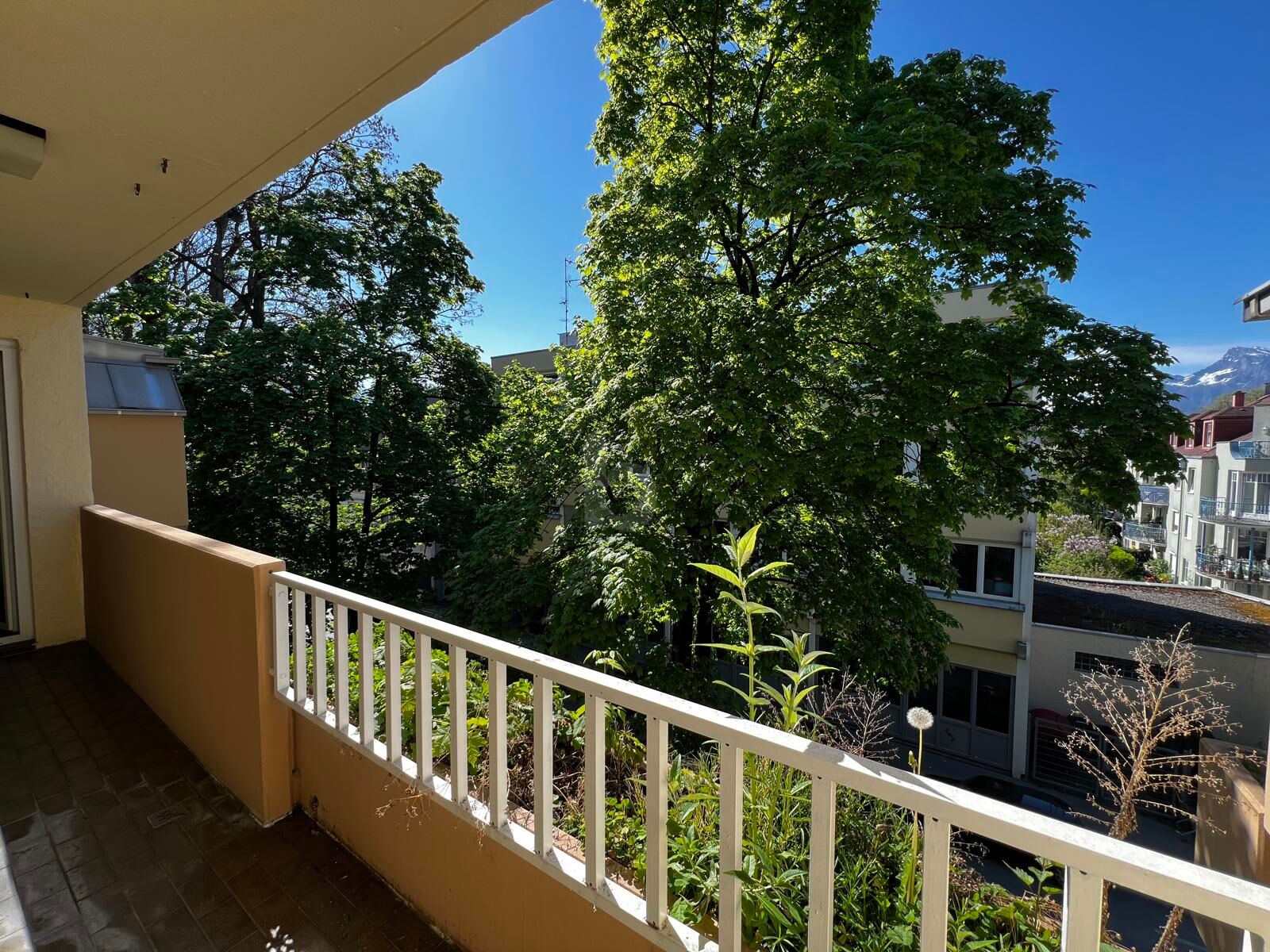 ZENTRAL UND RUHIG MIT TRAUMHAFTEM BALKON - INKL. TG-STELLPLATZ! /  / 5020&nbsp;Salzburg / Bild 1