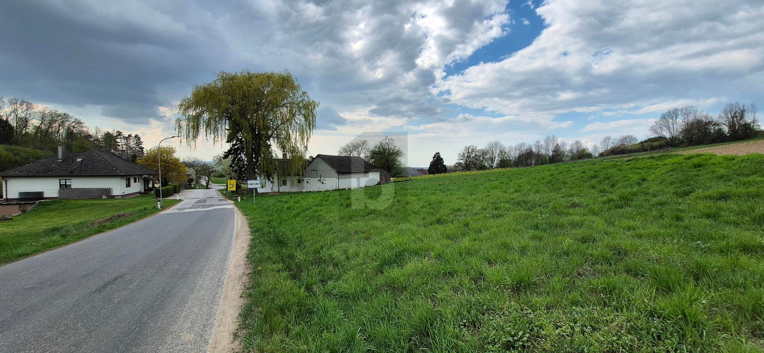 GRO�Z�GIG UNWEIT VON ST. P�LTEN ? OHNE BAUZWANG /  / 3385&nbsp;Prinzersdorf / Bild 4