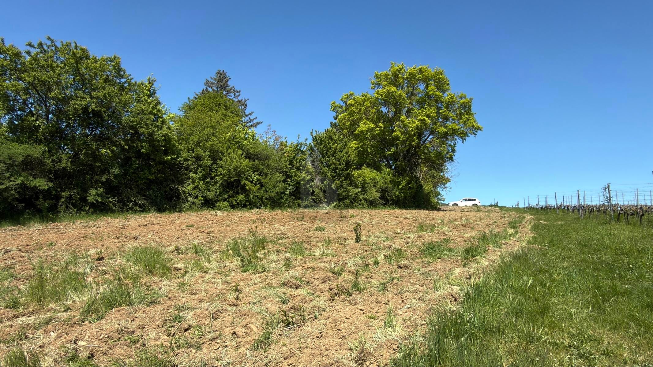 F�R LANGFRISTIGE ANLEGER IN ORTSRAND-RUHELAGE MIT TOP PANORAMA /  / 2500&nbsp;Baden / Bild 2