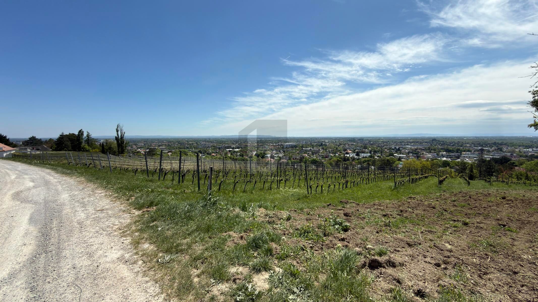 F�R LANGFRISTIGE ANLEGER IN ORTSRAND-RUHELAGE MIT TOP PANORAMA /  / 2500&nbsp;Baden / Bild 3