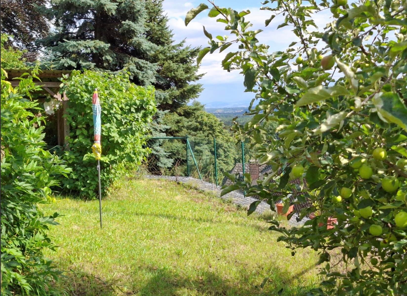 BAUGRUNDSTÜCK IN STEYREGG ? RUHIGE HANGLAGE MIT ENTWICKLUNGSPOTENZIAL / / 4221 Steyregg / Bild 0
