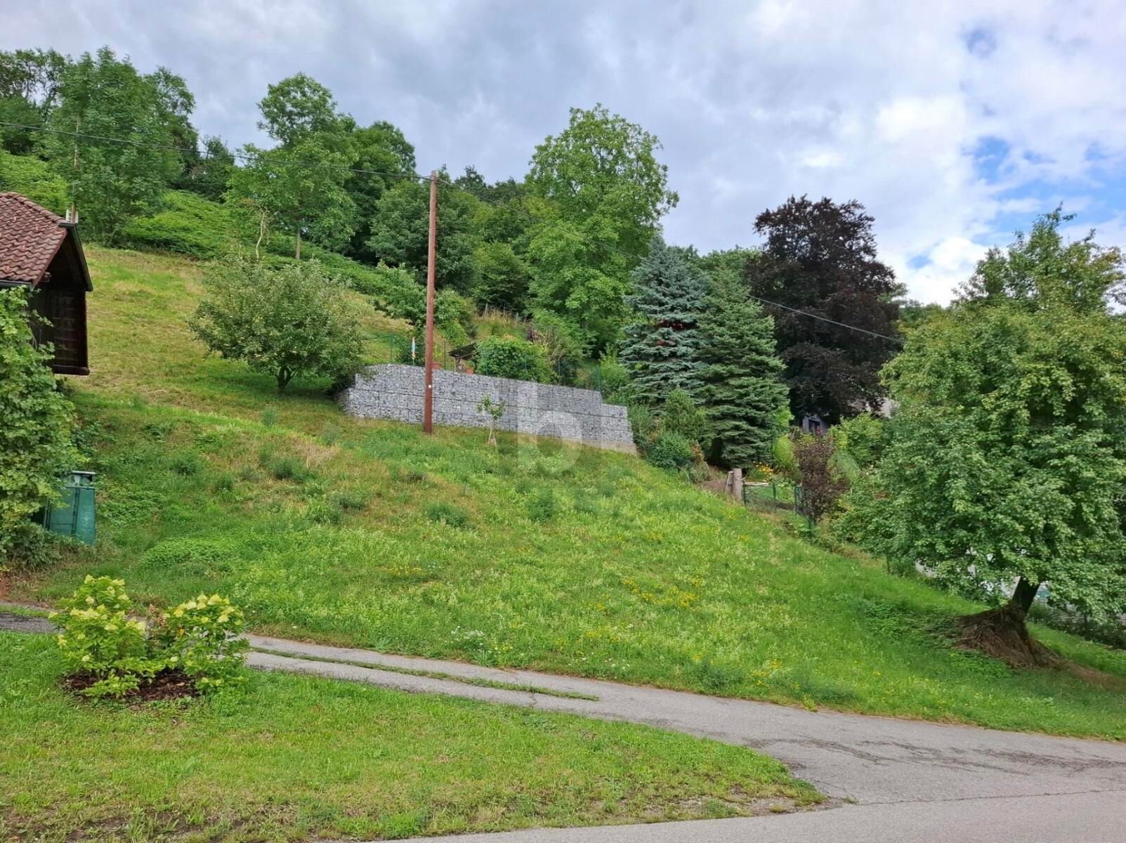 BAUGRUNDSTÜCK IN STEYREGG ? RUHIGE HANGLAGE MIT ENTWICKLUNGSPOTENZIAL / / 4221 Steyregg / Bild 1