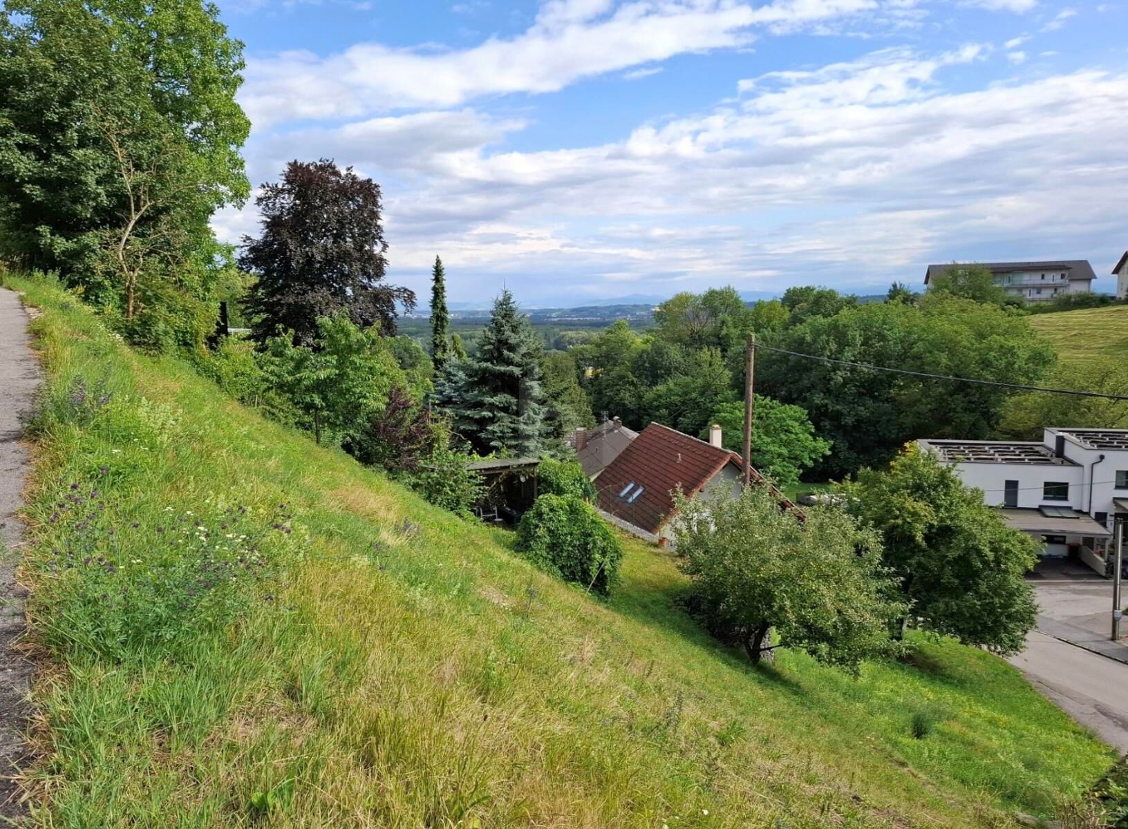 BAUGRUNDSTÜCK IN STEYREGG ? RUHIGE HANGLAGE MIT ENTWICKLUNGSPOTENZIAL / / 4221 Steyregg / Bild 2