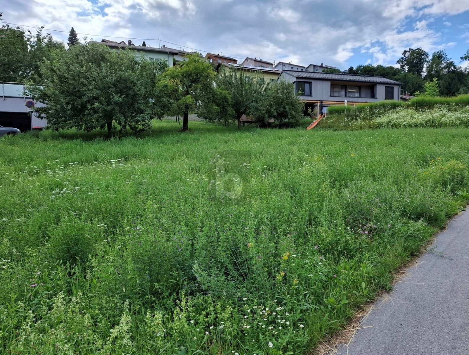 BAUGRUNDST�CK IN STEYREGG ? OHNE BAUZWANG /  / 4221&nbsp;Steyregg / Bild 1