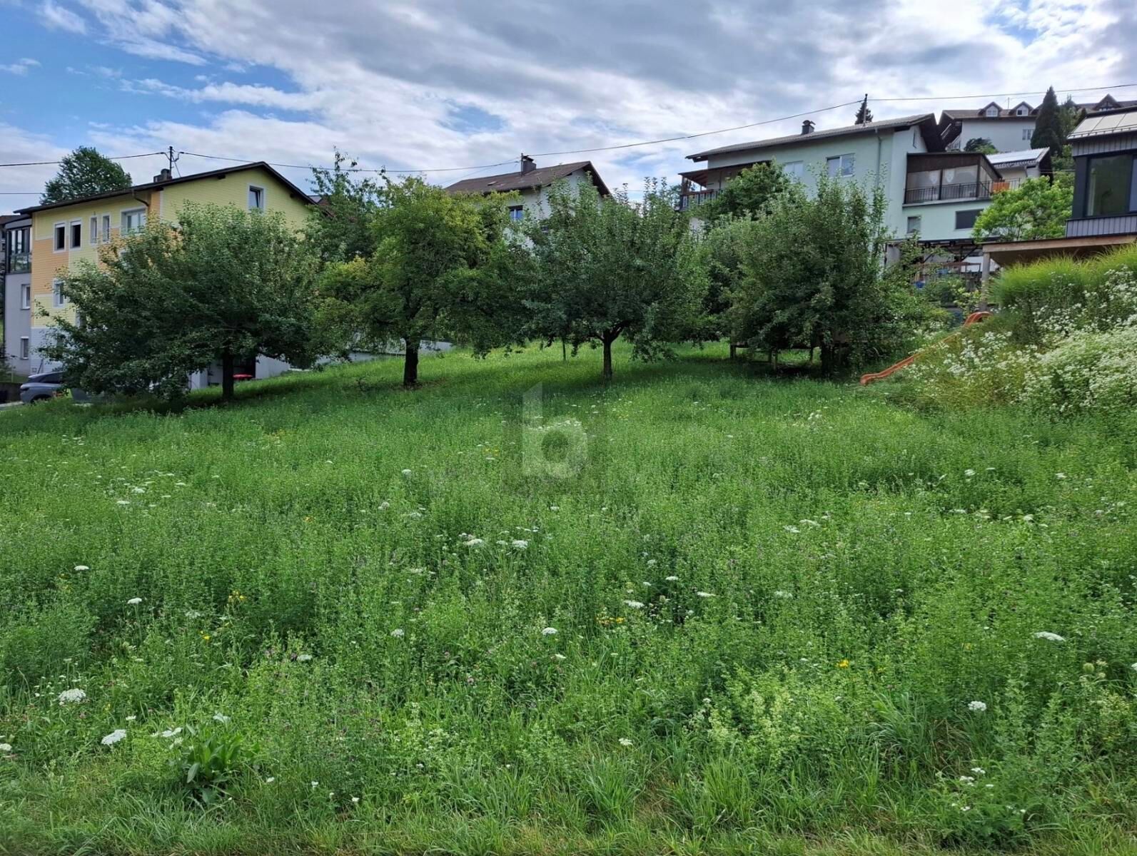 BAUGRUNDST�CK IN STEYREGG ? OHNE BAUZWANG /  / 4221&nbsp;Steyregg / Bild 2