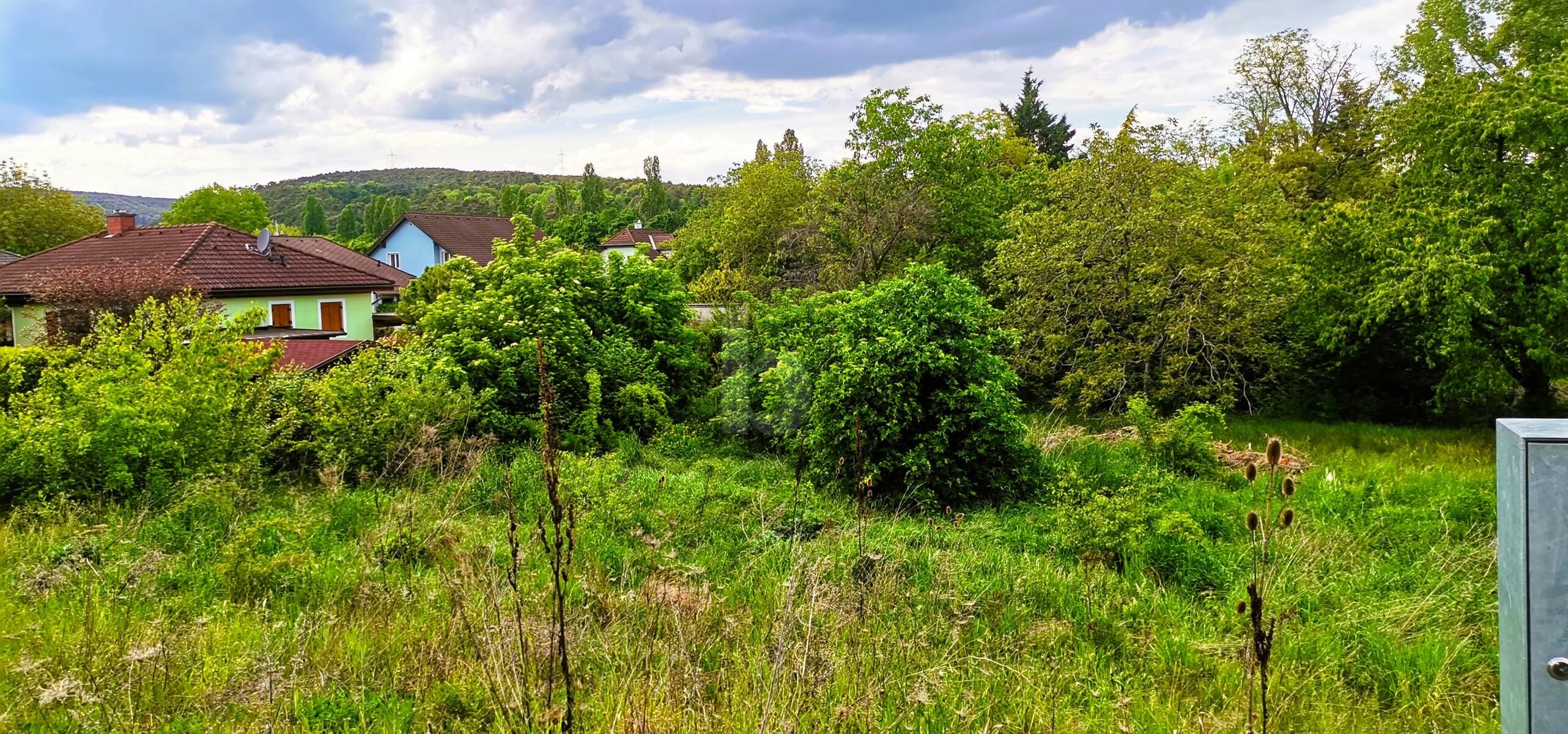 WEITBLICK INS GR�NE - VON VILLA BIS ZWEI DOPPELH�USER M�GLICH