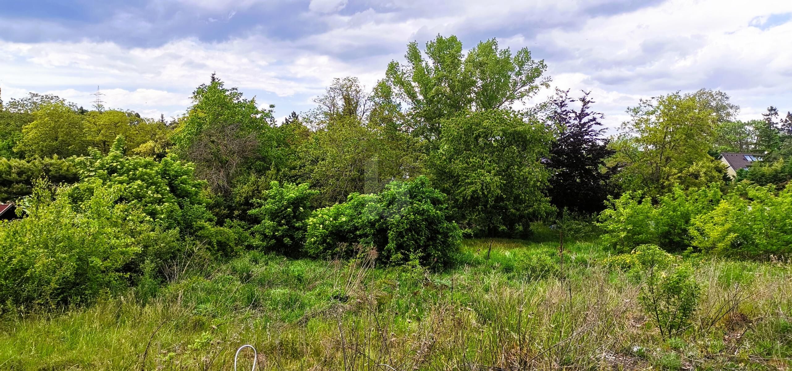 WEITBLICK INS GR�NE - VON VILLA BIS ZWEI DOPPELH�USER M�GLICH /  / 2751&nbsp;Steinabr�ckl / Bild 1