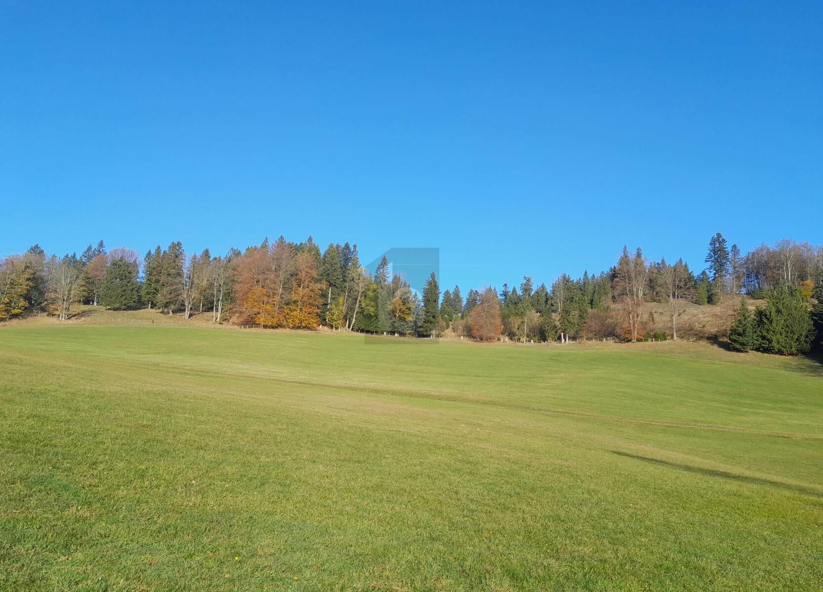 PRIVATES REFUGIUM IN ABSOLUTER ALLEINLAGE ? EXKLUSIVES HOFANWESEN MIT UNVERBAUBAREM PANORAMABLICK / / 3171 Kleinzell-Salzerbad / Bild 2