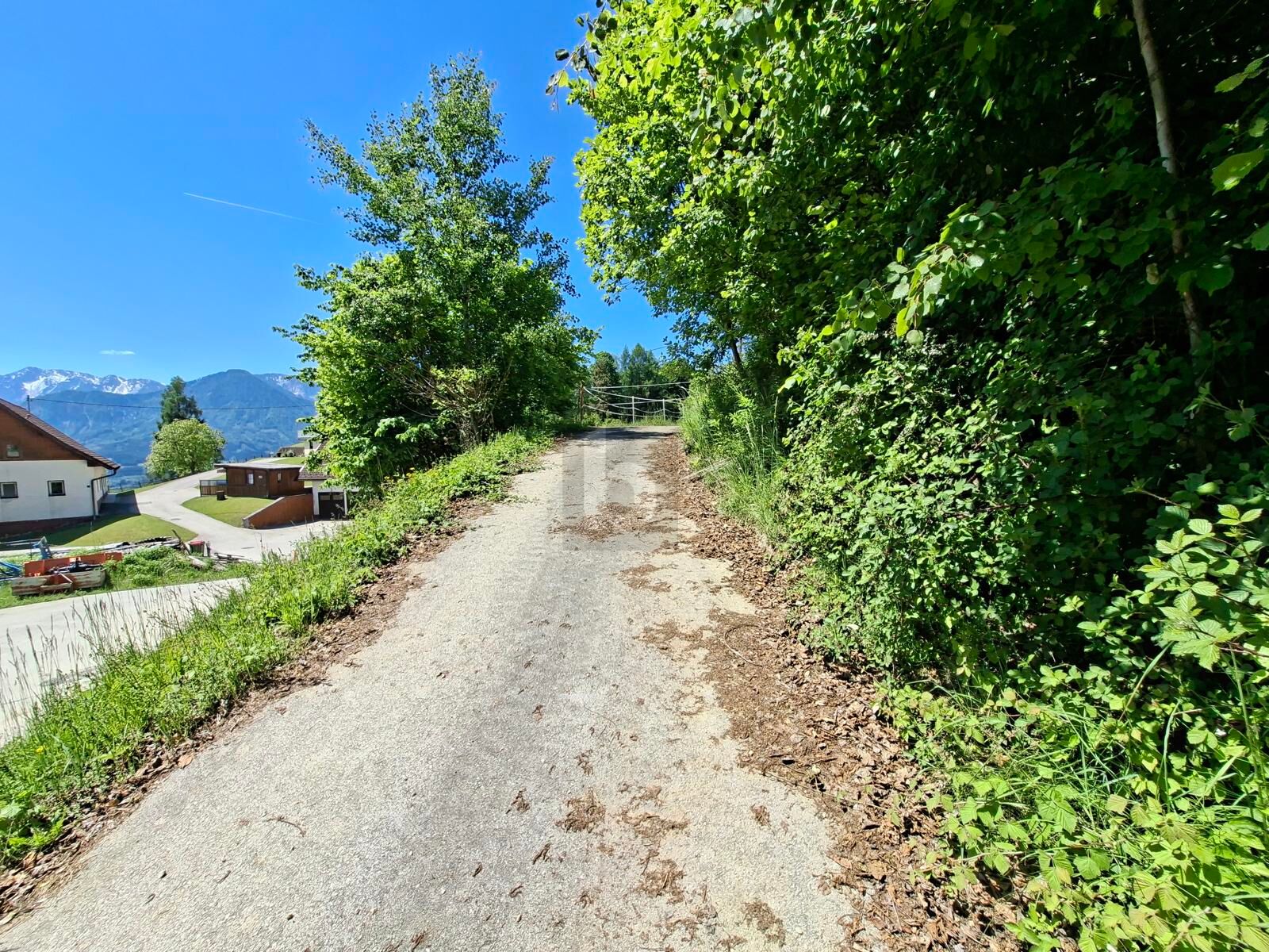 RÜCKZUGSORT MIT ATEMBERAUBENDEN PANORAMA / / 9072 Ludmannsdorf / Bild 4