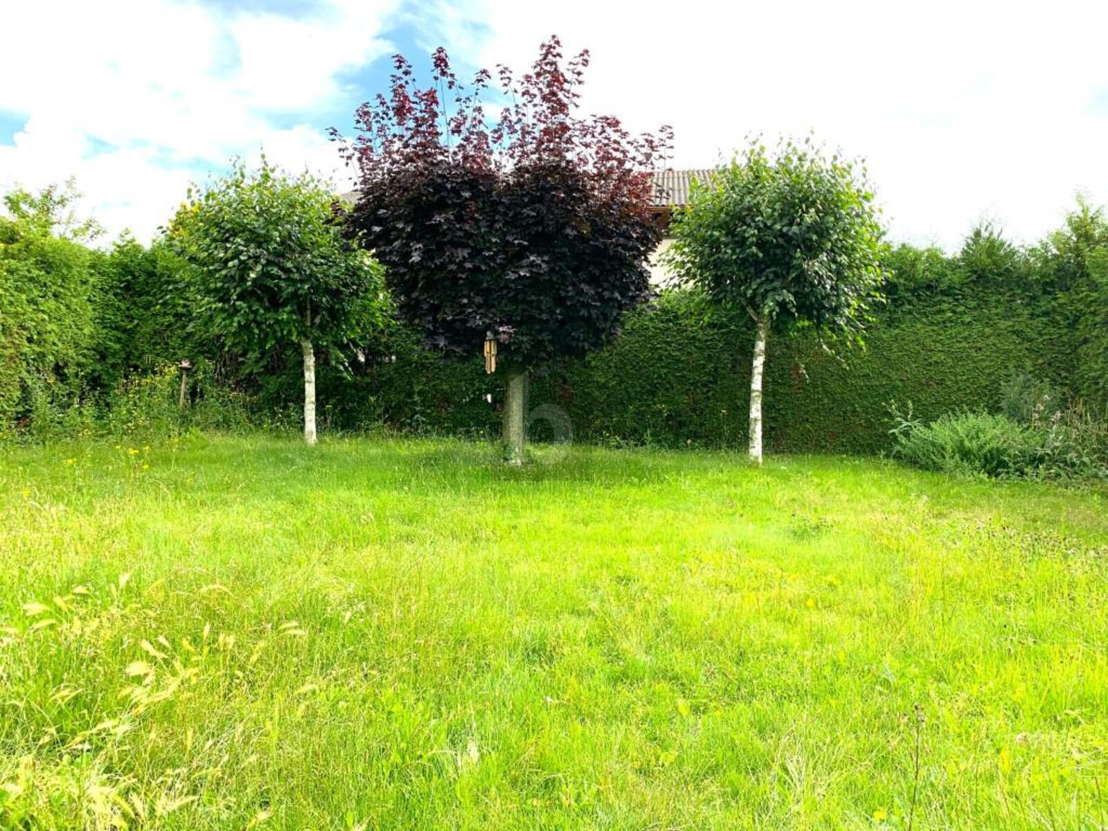 Preisreduktion! WUNDERSCH�N UND GENERALSANIERT MIT GRO�ARTIGEM GARTEN  /  / 2112&nbsp;W�rnitz / Bild 3