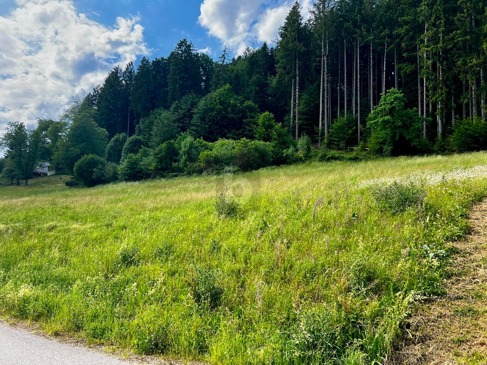 SUPER LAGE MIT IDEALEN M�GLICHKEITEN!  /  / 5211&nbsp;Friedburg / Bild 1