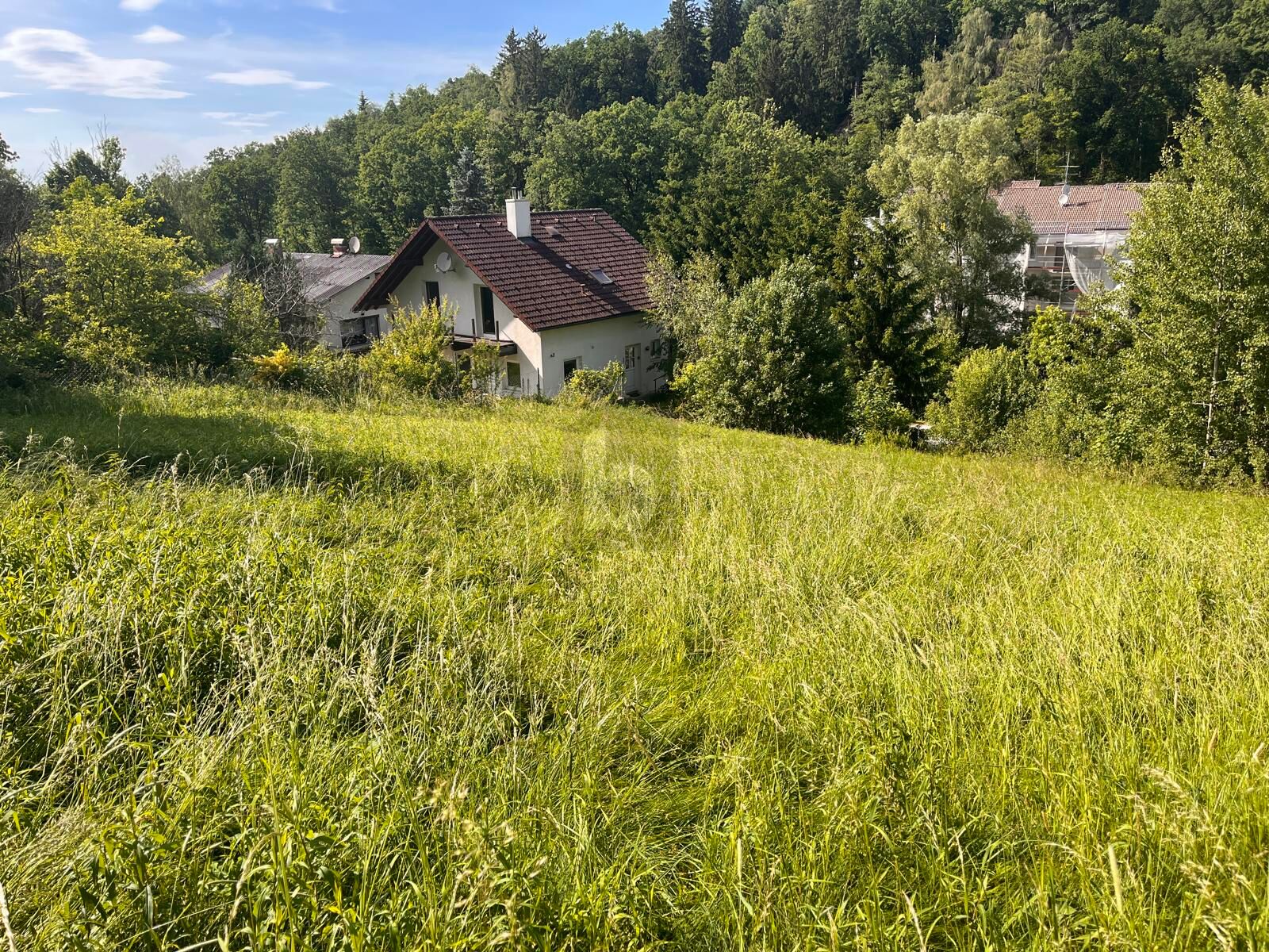RUHIGES HANGGRUNDST�CK IN IDYLLISCHER WALDRANDLAGE /  / 4782&nbsp;Sch�rding / Bild 1