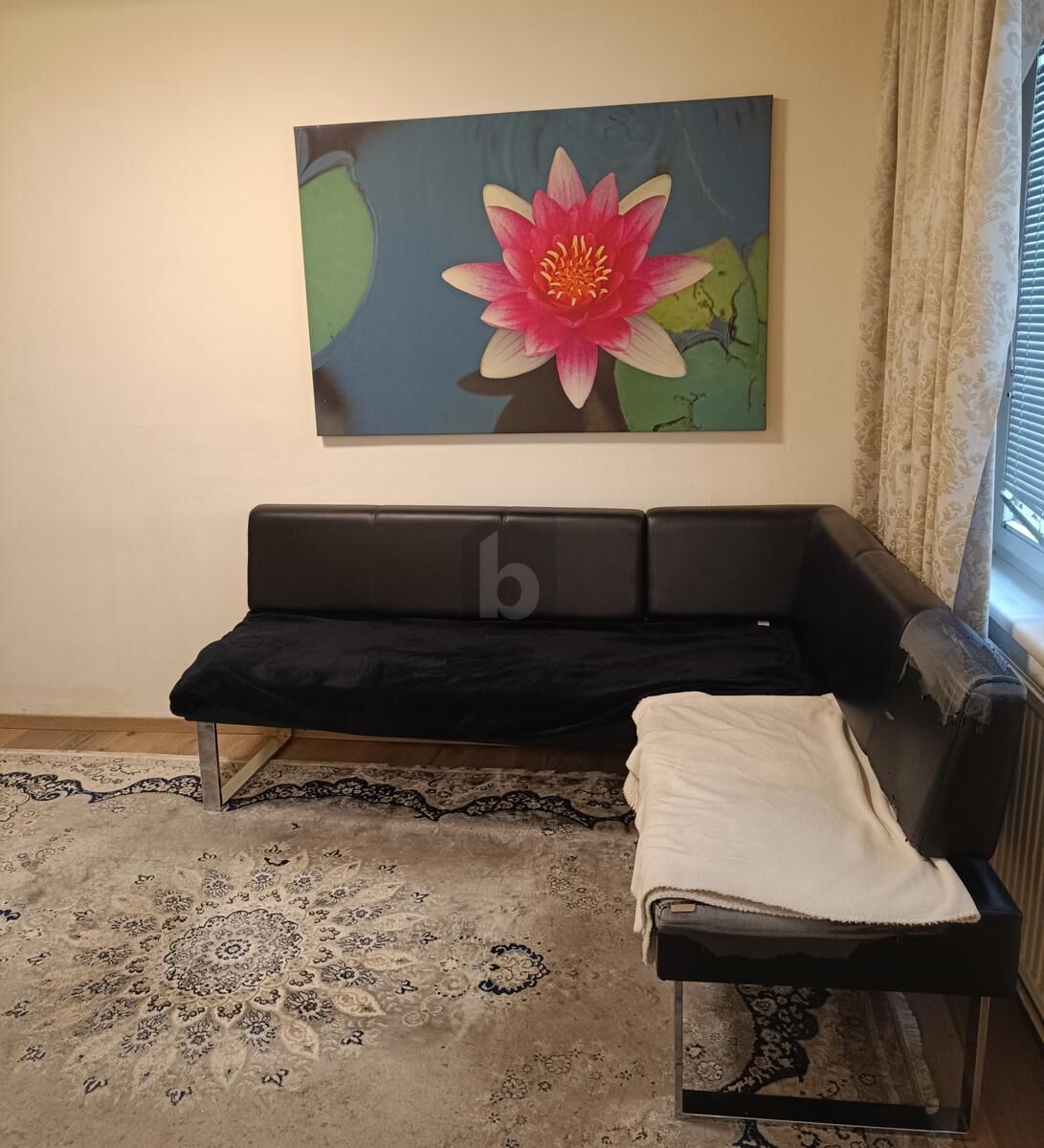 CHARMANT IN RUHIGER LAGE MIT GESTALTUNGSPOTENTIAL /  / 1170&nbsp;Wien / Bild 3