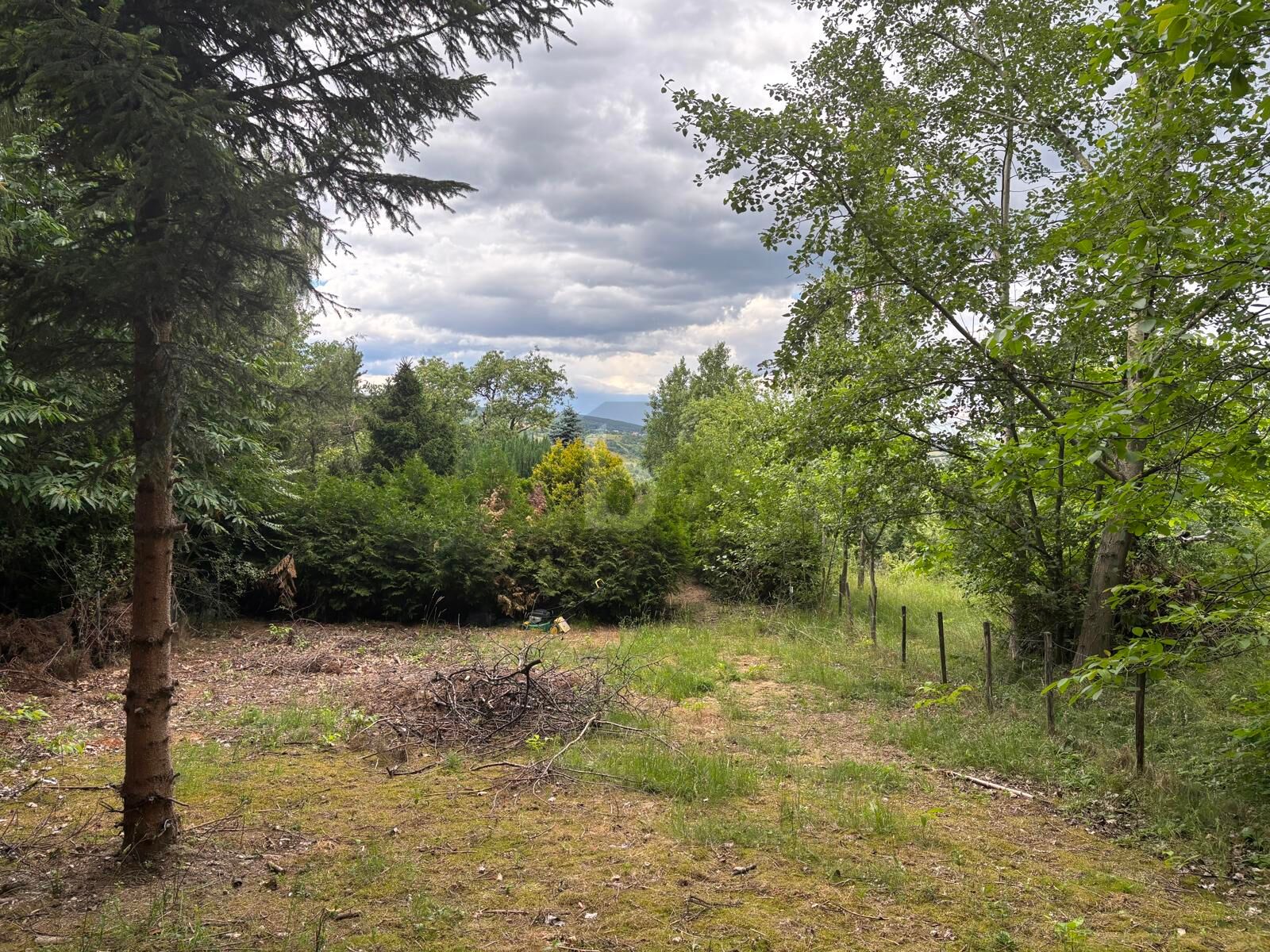 NATUROASE MIT WEITBLICK - WALDLAGE MIT POTENZIAL  /  / 7212&nbsp;Forchtenstein / Bild 3
