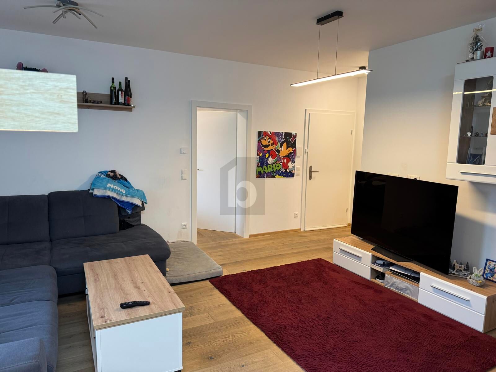 MODERNER, HELLEE WOHNHIT MIT HOCHWERTIGER AUSSTATTUNG UND TRAUMHAFTEM GR�NBLICK /  / 4400&nbsp;Steyr / Bild 1