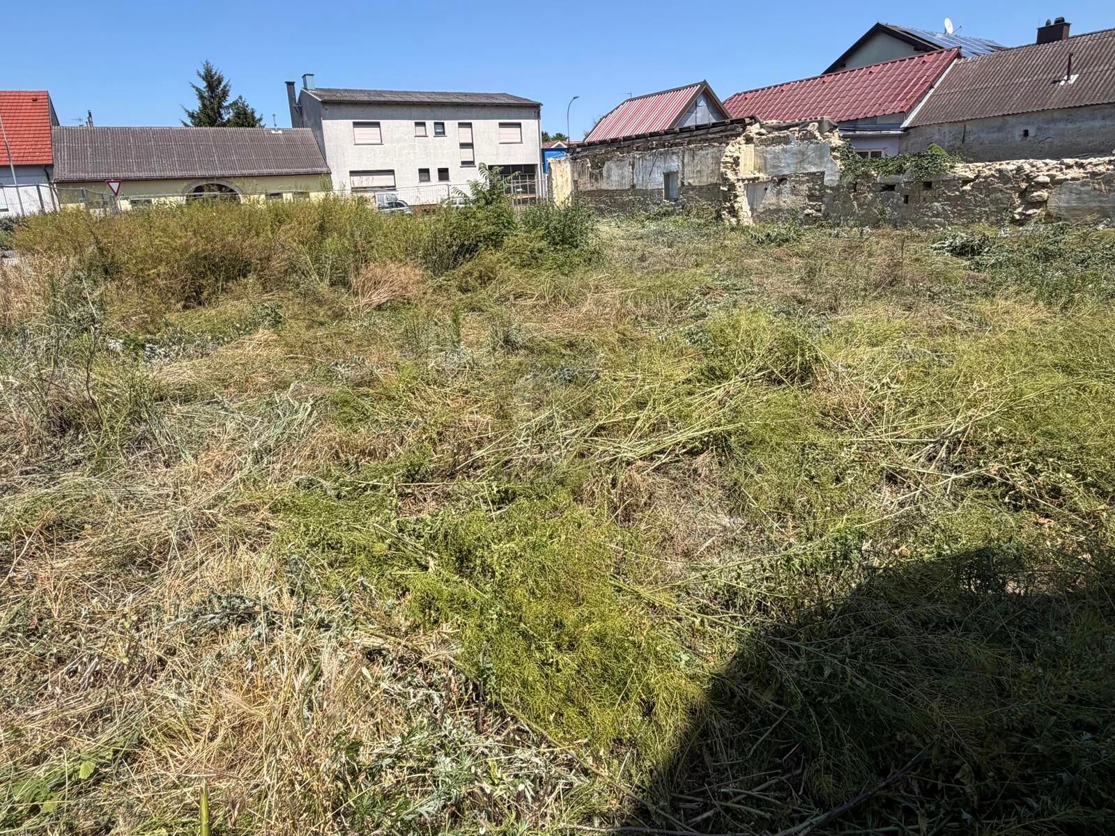 ATTRAKTIVES BAUGRUNDSTÜCK FÜR IHR EIGENHEIM / / 2462 Wilfleinsdorf / Bild 1