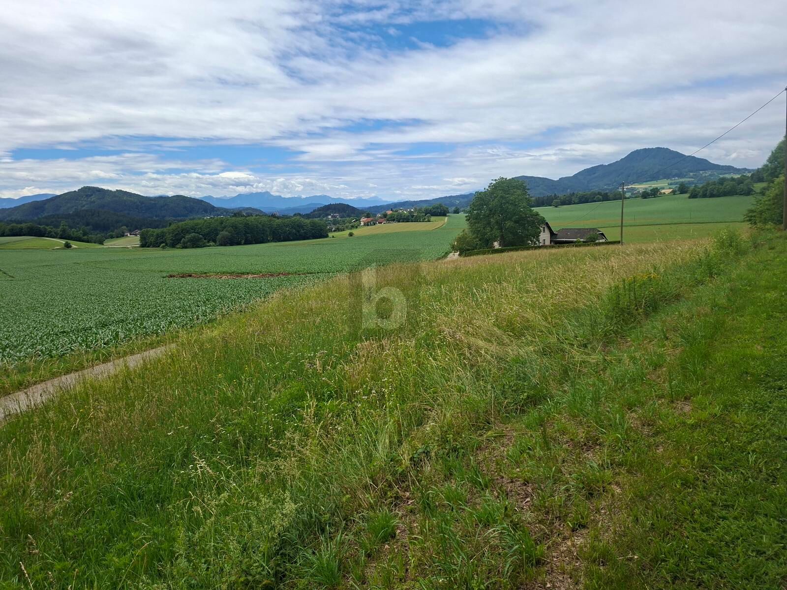 RUHIGE LAGE UND NAHE ZU KLAGENFURT /  / 9063&nbsp;Maria Saal / Bild 2