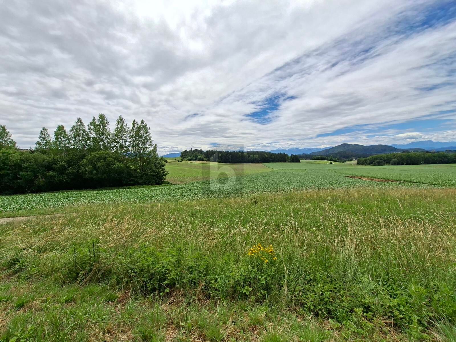RUHIGE LAGE UND NAHE ZU KLAGENFURT /  / 9063&nbsp;Maria Saal / Bild 3