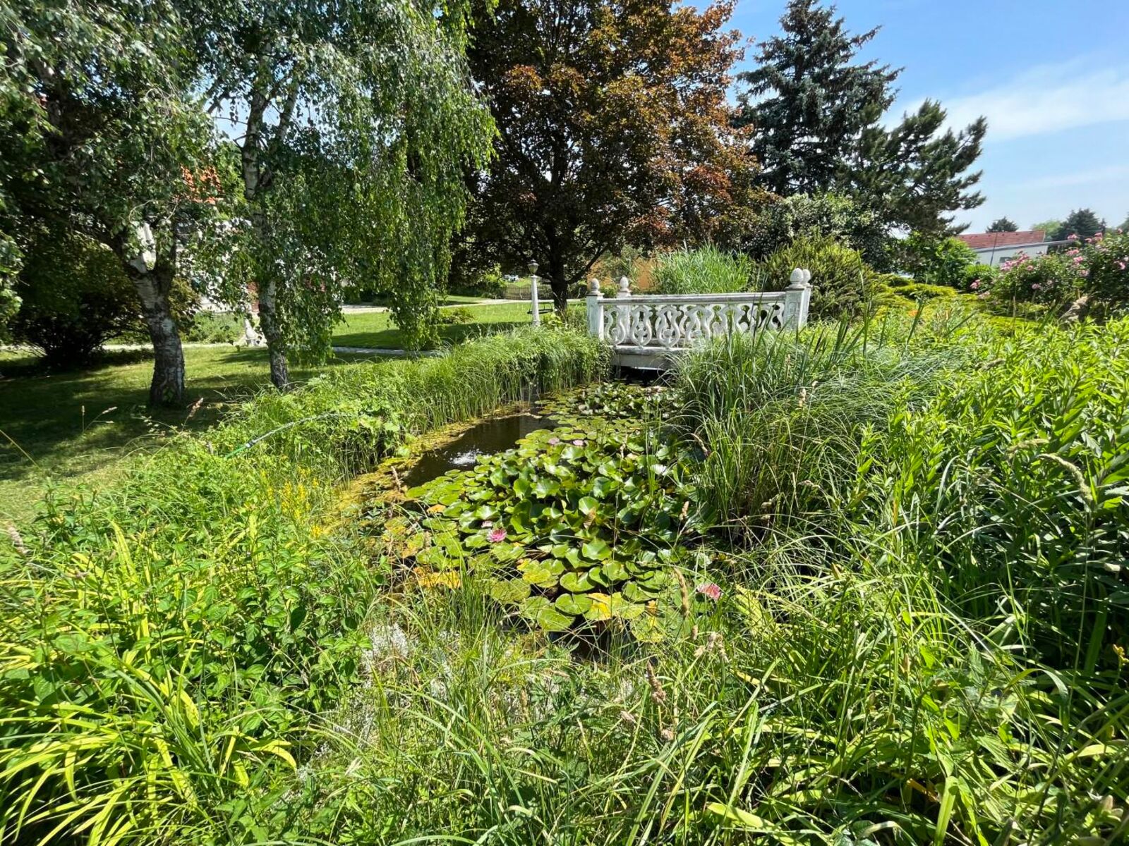 GEPFLEGTES REFUGIUM IM GRÜNEN / / 3130 Herzogenburg / Bild 2