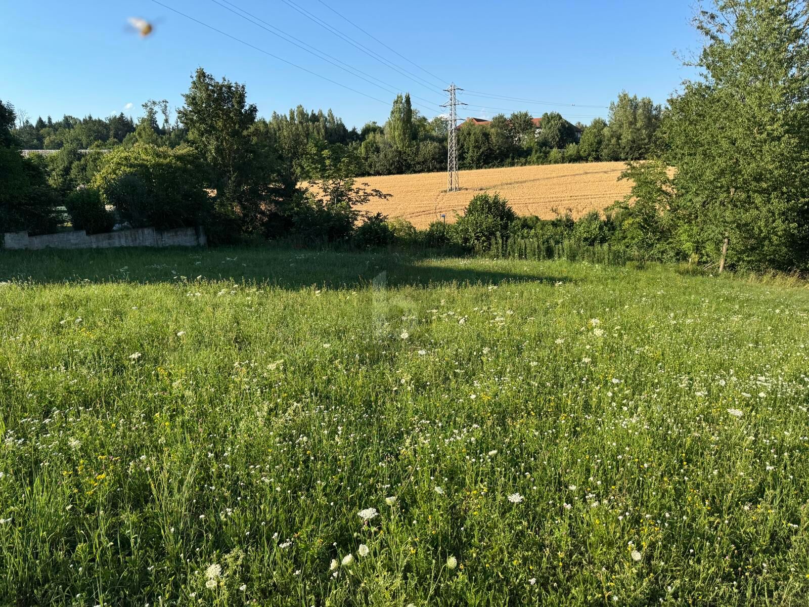 TRAUMHAFTES BAUGRUNDST�CK MIT BAUBEWILLIGUNG UND EINREICHPLAN