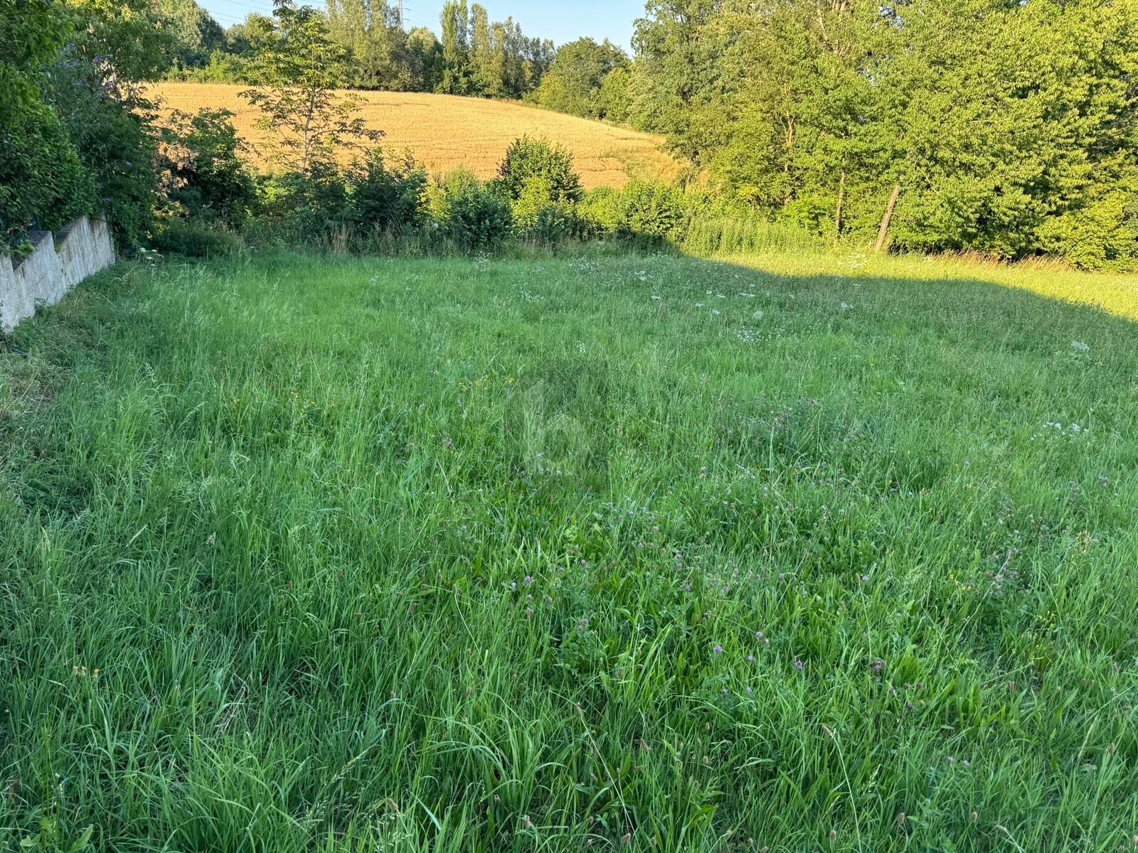 TRAUMHAFTES BAUGRUNDST�CK MIT BAUBEWILLIGUNG UND EINREICHPLAN /  / 4601&nbsp;Wels / Bild 2