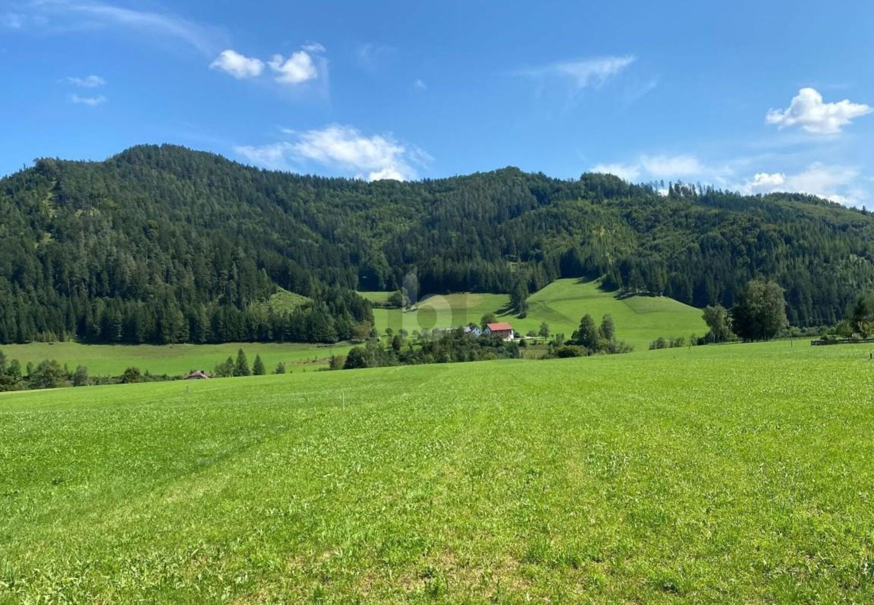 BAUEN STATT KOMPROMISSE EINGEHEN ? SONNIGER, EBENER UND VOLL AUFGESCHLOSSENER TRAUM-BAUGRUND IN RUHELAGE. / / 3335 Weyer / Bild 0