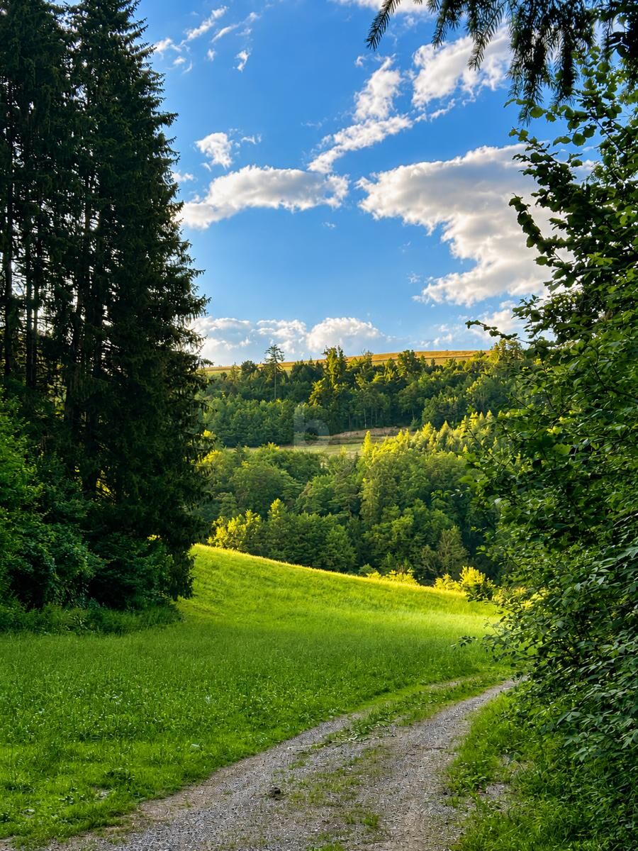 Preisreduktion! NATURIDYLLE MIT FERNBLICK ? CHARMANTES EINFAMILIENHAUS AUF ÜBER 1.000 M² GRUNDSTÜCK IN ABSOLUTER RUHELAGE / / 2831 Warth / Bild 3