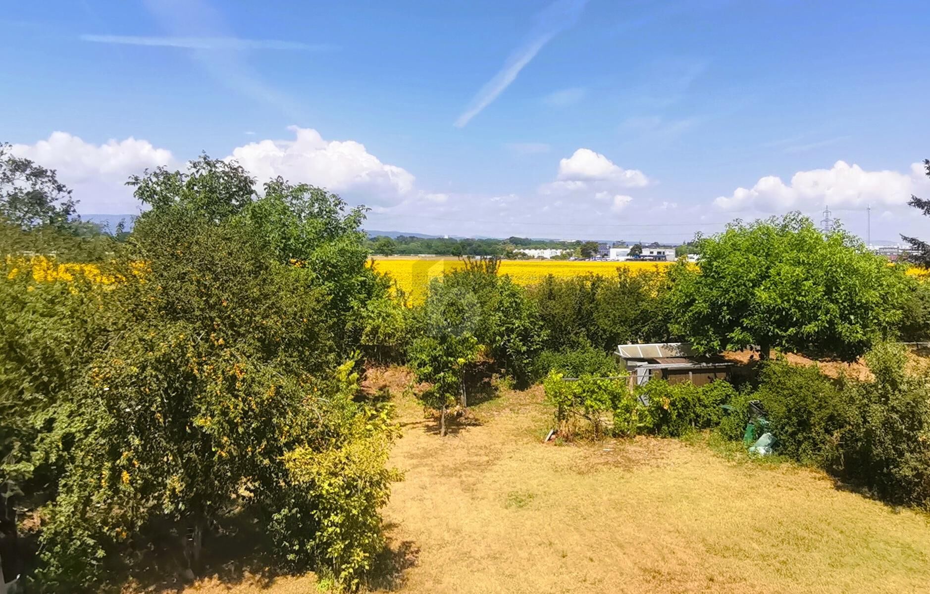 GERÄUMIGER FAMILIENHIT - 2 WOHNEINHEITEN MÖGLICH - GROSSER GARTEN / / 2700 Wiener Neustadt / Bild 4