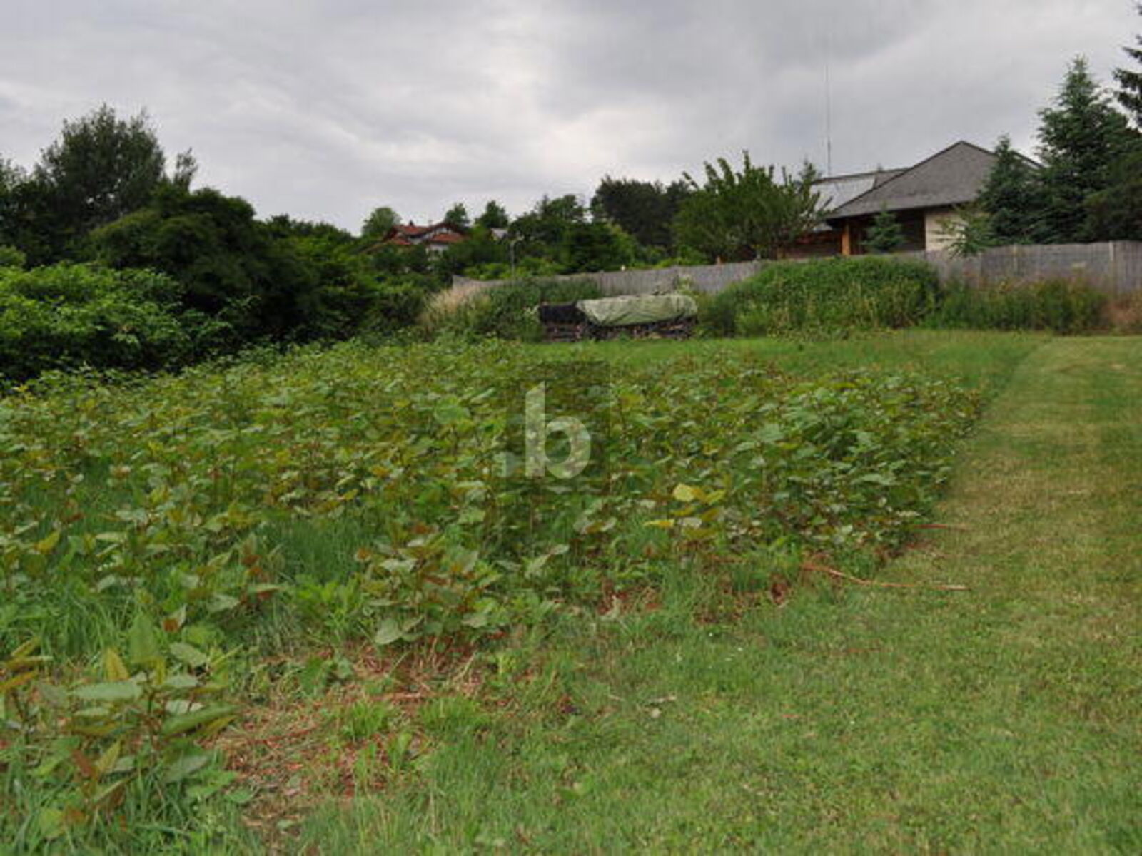 PANORAMAGRUND MIT GUTER INFRASTRUKTUR / / 7203 Wiesen / Bild 1