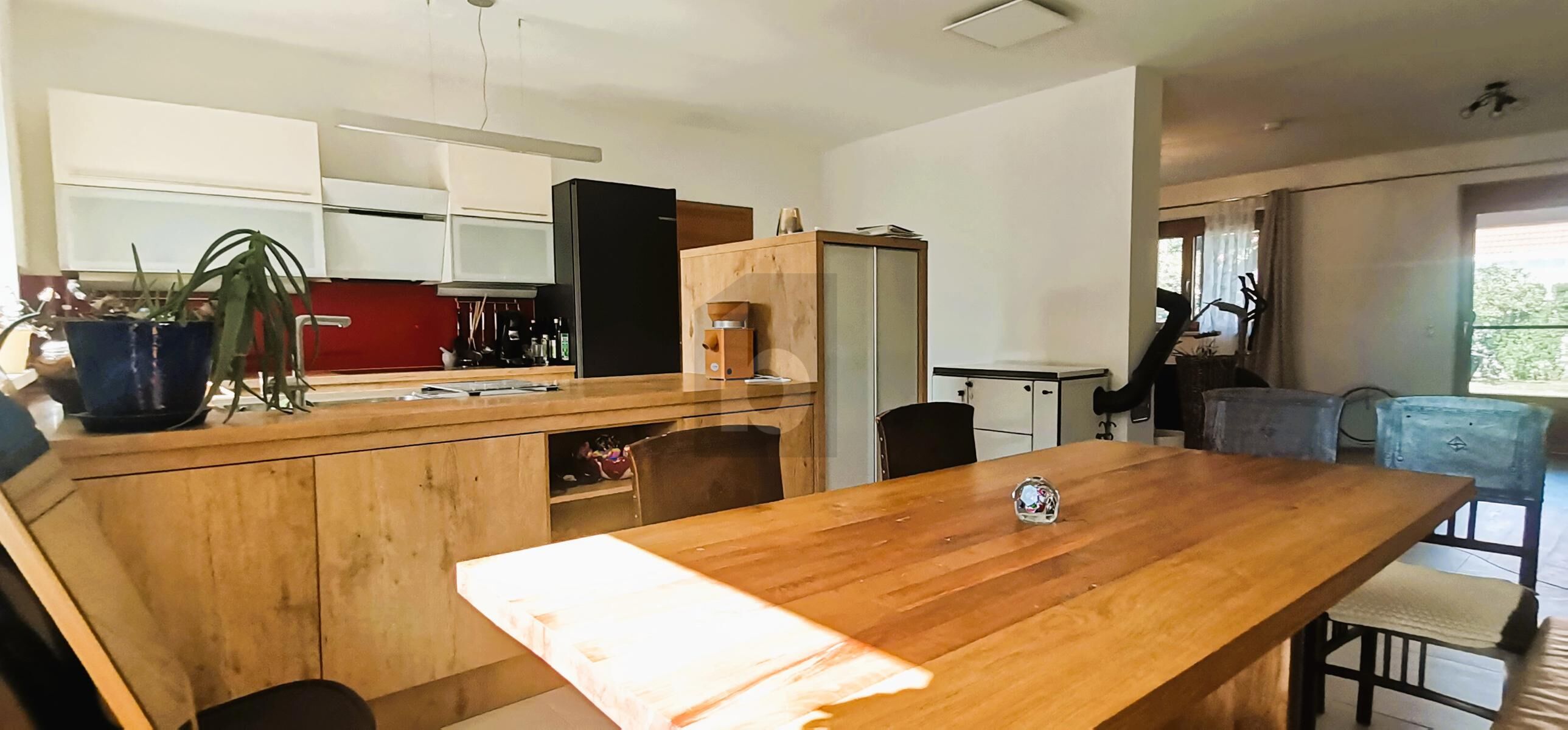 TOP GEPFLEGTER FAMILIENTRAUM ODER GENERATIONENHAUS MIT GARTEN / / 2485 Wimpassing/Leitha / Bild 1
