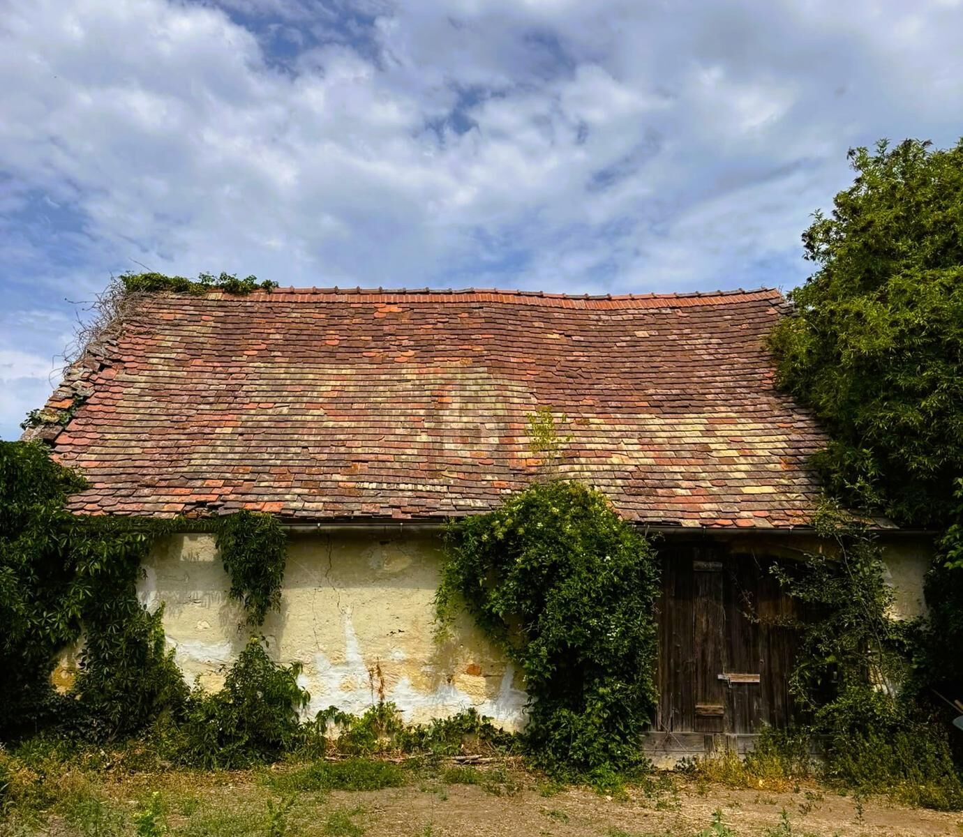 MODERNES LANDLEBEN ZWISCHEN KULTUR UND NATUR /  / 7062&nbsp;St. Margarethen im Burgenland / Bild 2