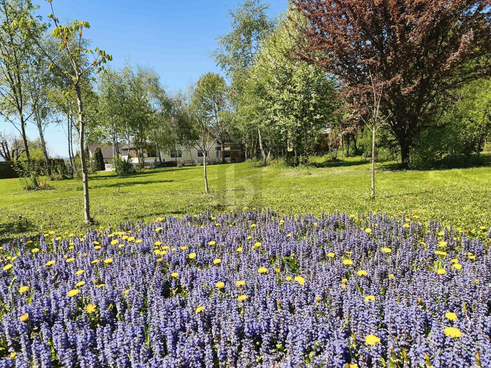 RARITÄT IN ASCHBACH 1.264 M² GESAMTFLÄCHE, VOLL AUFGESCHLOSSEN OHNE BAUZWANG! / / 3361 Aschbach Markt / Bild 1