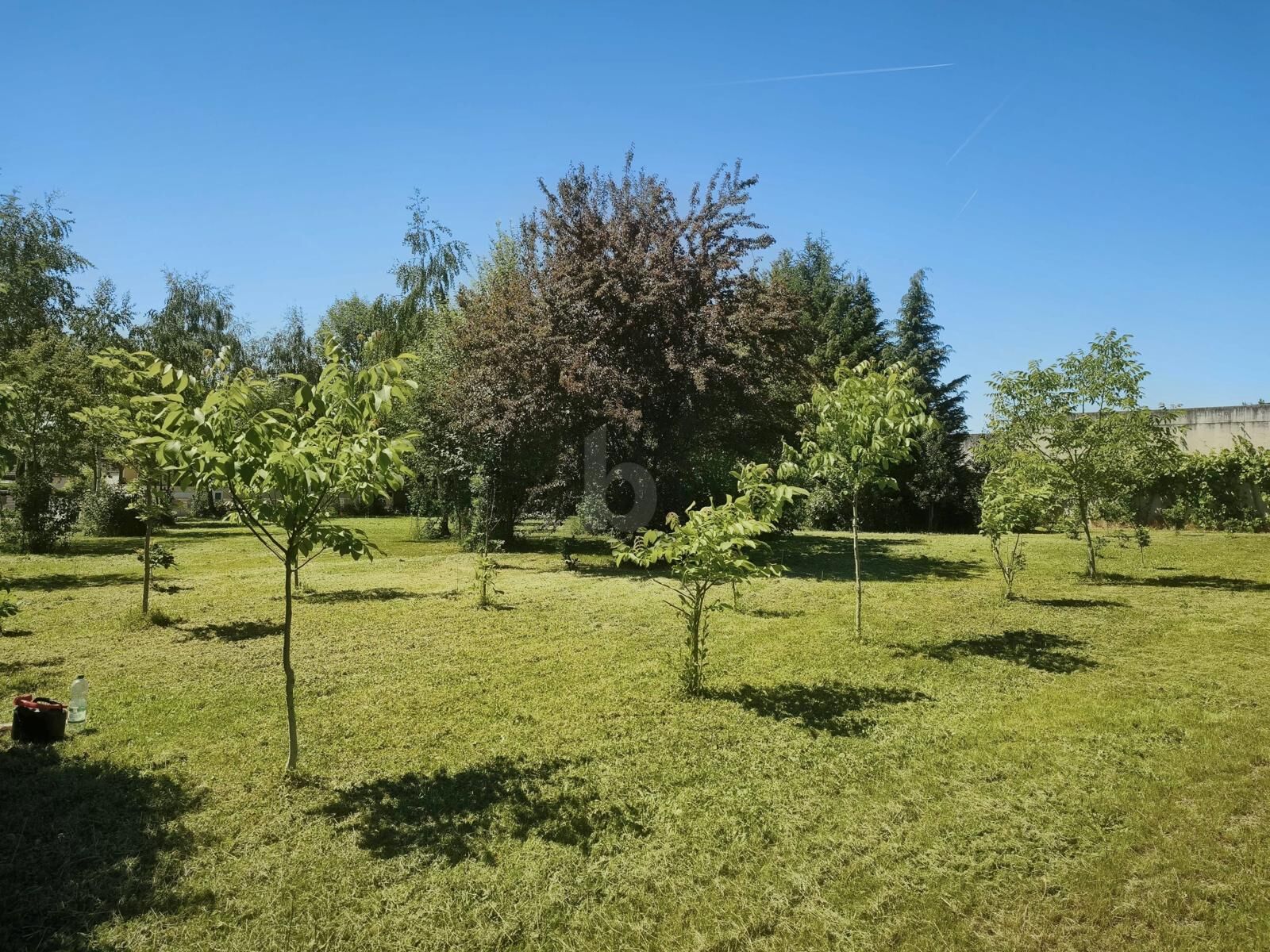 RARITÄT IN ASCHBACH 1.227 M² BAUGRUND, VOLL AUFGESCHLOSSEN OHNE BAUZWANG / / 3361 Aschbach Markt / Bild 1