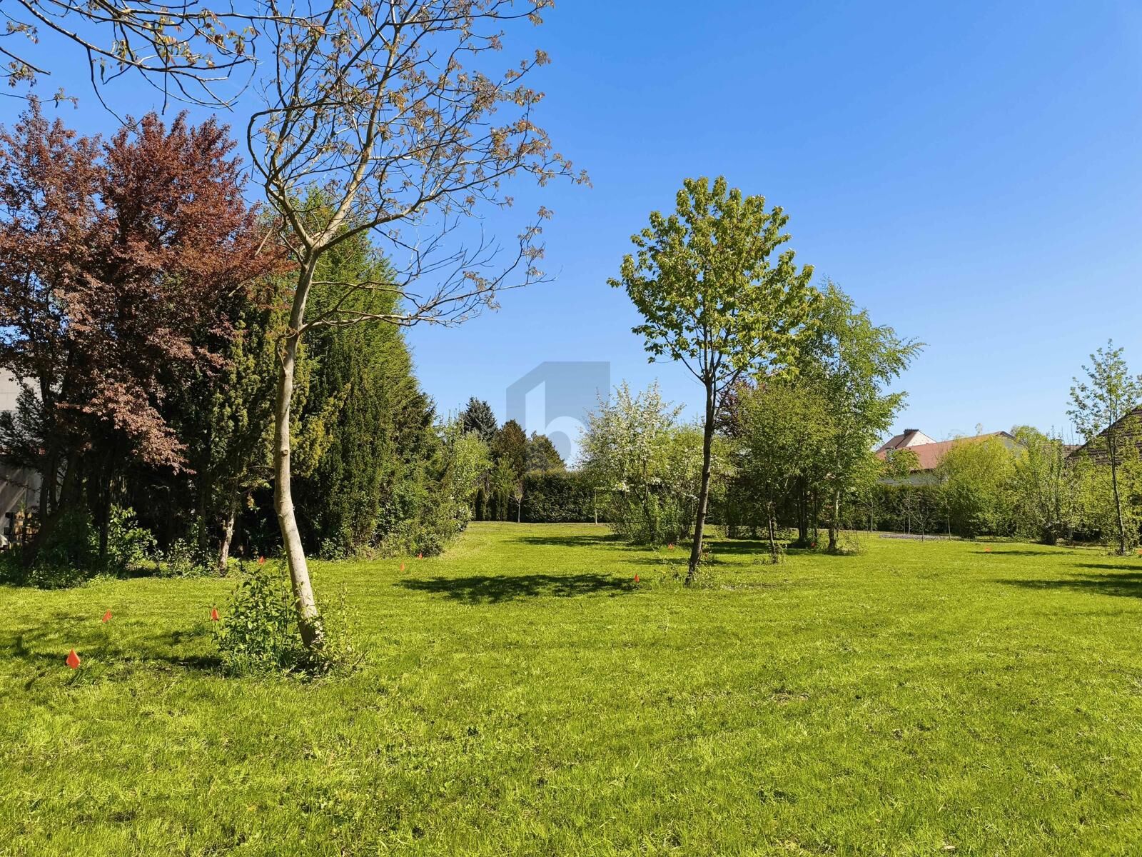 RARITÄT FÜR BAUTRÄGER 2.491 M² GESAMTFLÄCHE, VOLL AUFGESCHLOSSEN KEIN BAUZWANG / / 3361 Aschbach Markt / Bild 1
